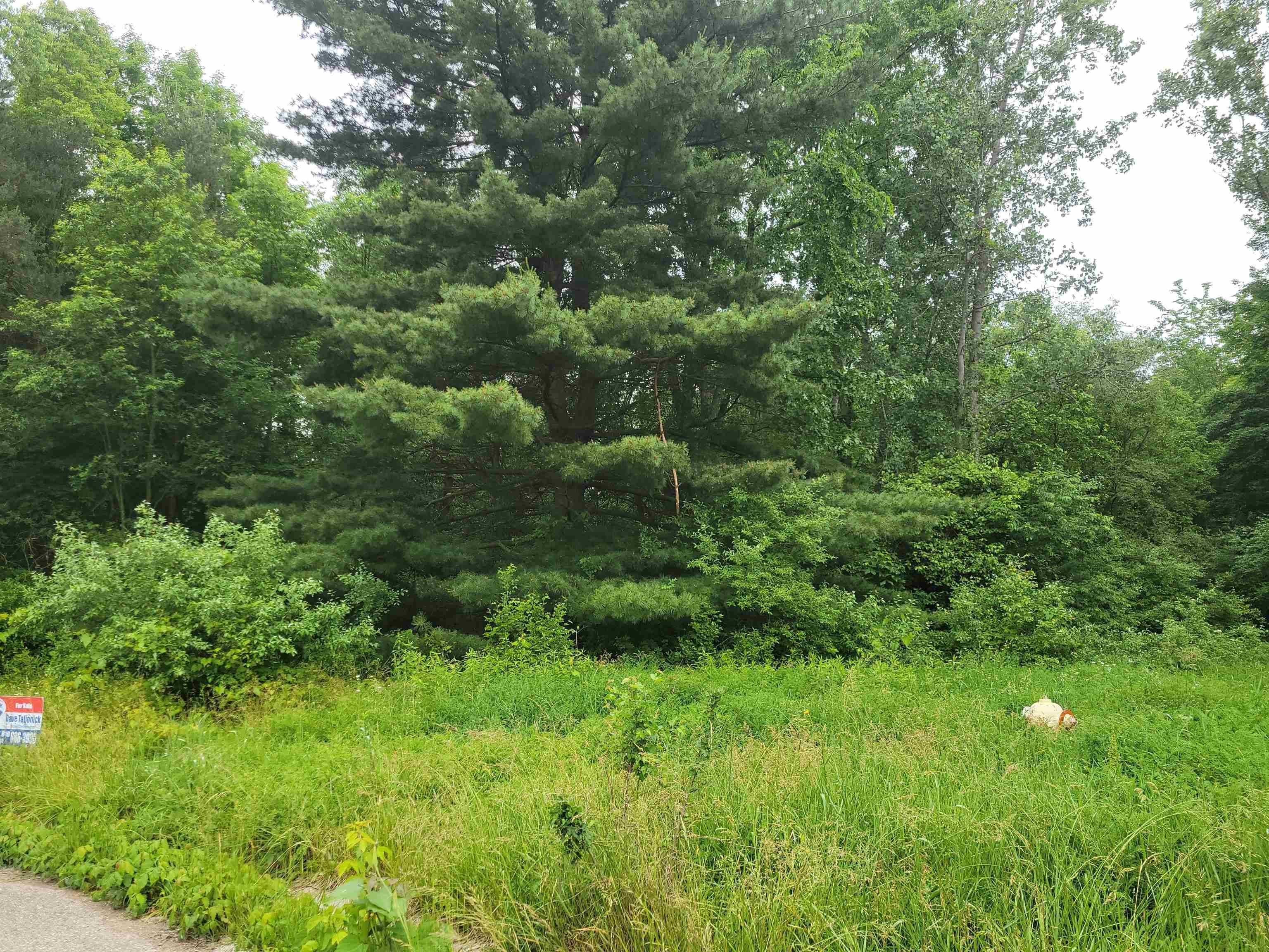 Clio, MI 48420,1350 Elm ST