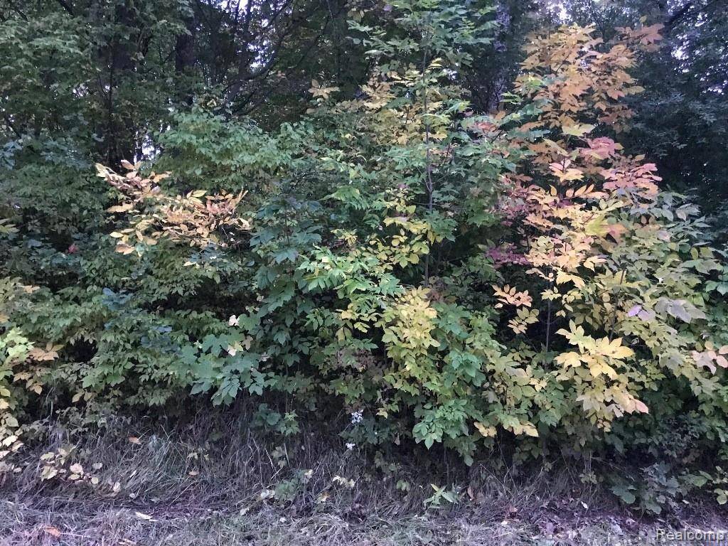 Byron, MI 48418,5 Rolston RD