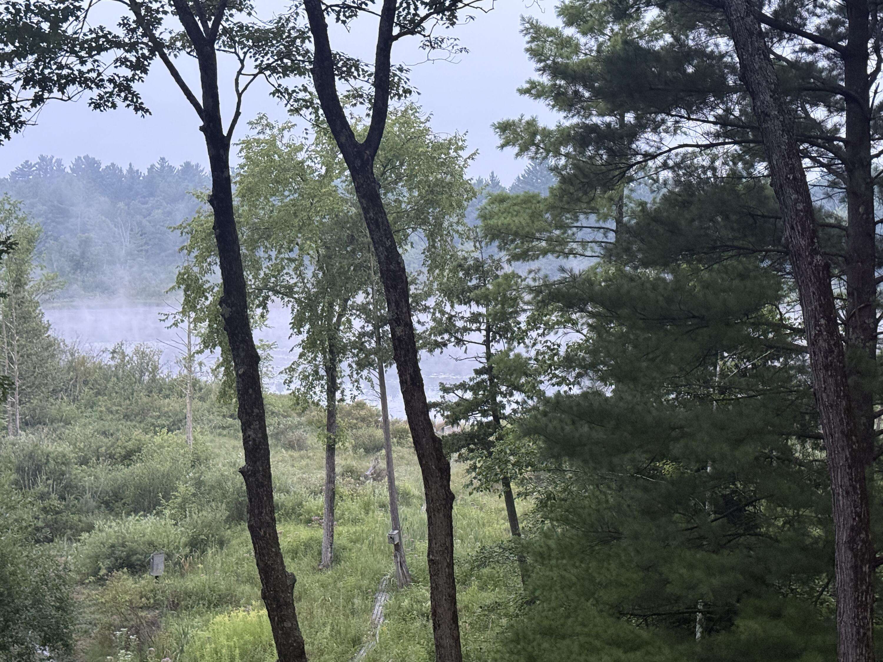 Baldwin, MI 49304,8733 S James RD