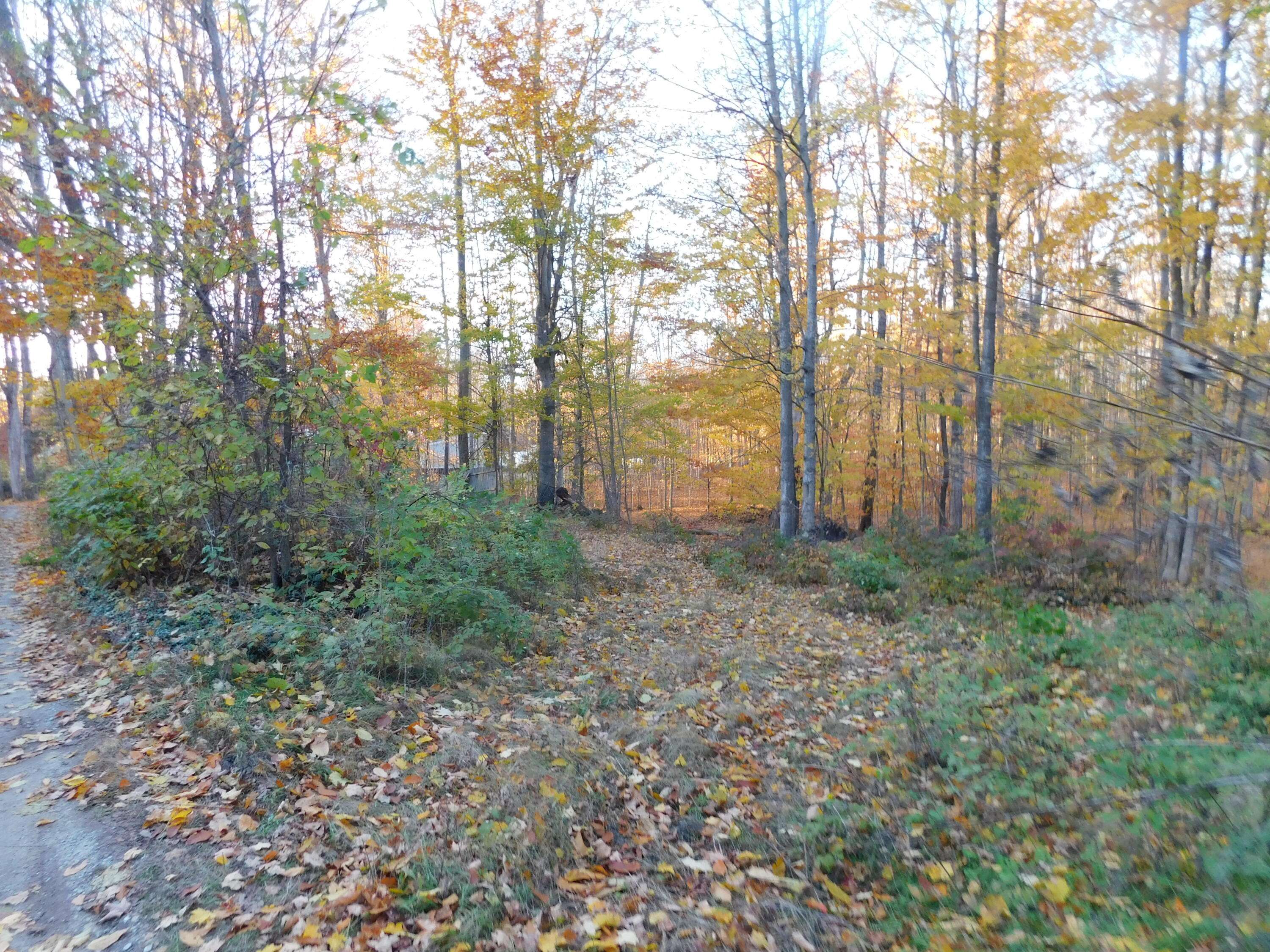 Bear Lake, MI 49614,14638 Pleasanton HWY