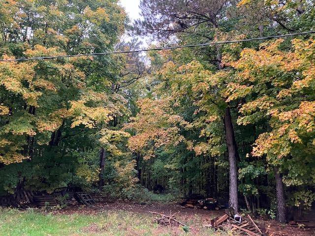 Buckley, MI 49643,E W County Line RD