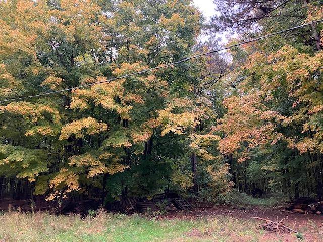 Buckley, MI 49643,E W County Line RD