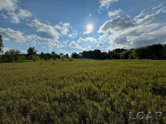 Saline, MI 48176,9144 Warner RD