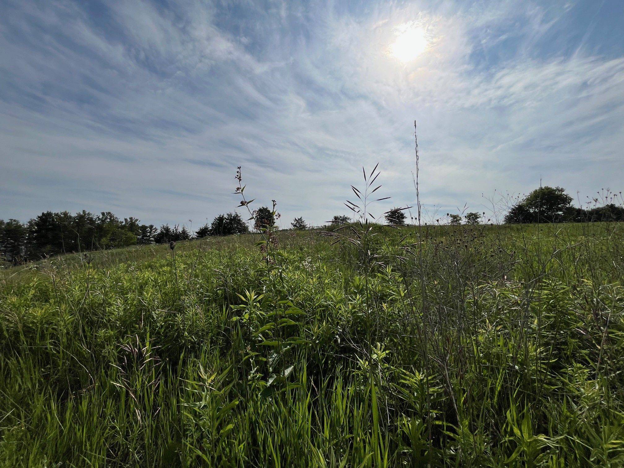 Cobourg, ON K9A 4J9,Lot 24 McCarty DR