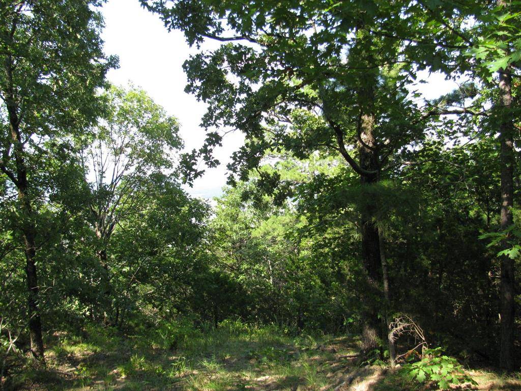 TBD N 4309 Lane, Tuskahoma, OK 74574