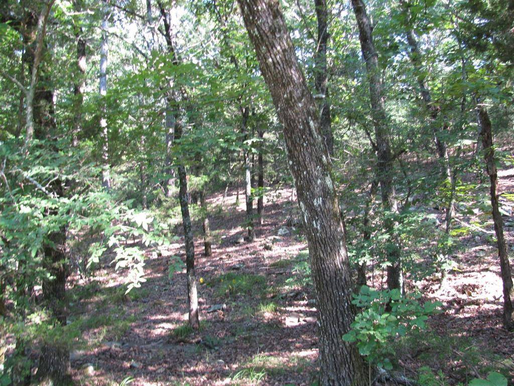 TBD N 4309 Lane, Tuskahoma, OK 74574