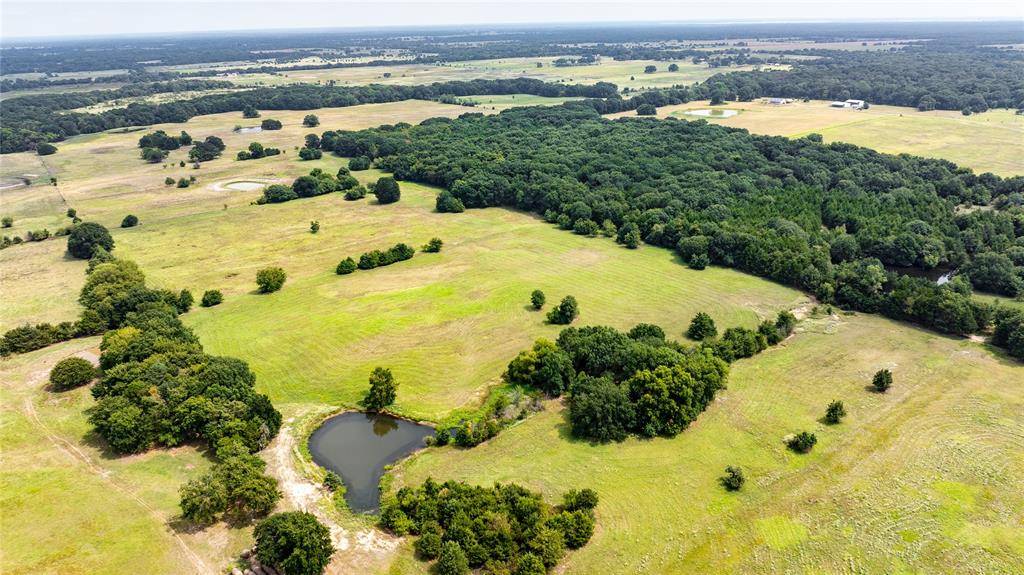 Telephone, TX 75488,TBD County Road 2130