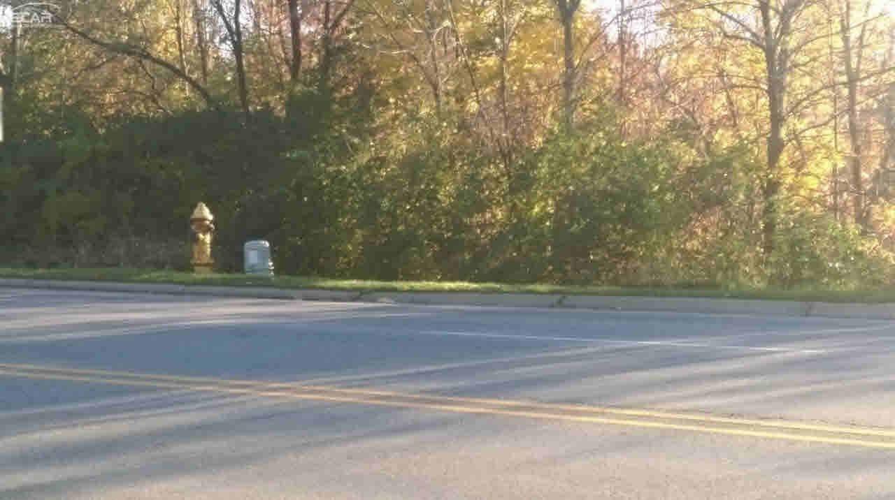 Flushing, MI 48433,1372 Flushing RD