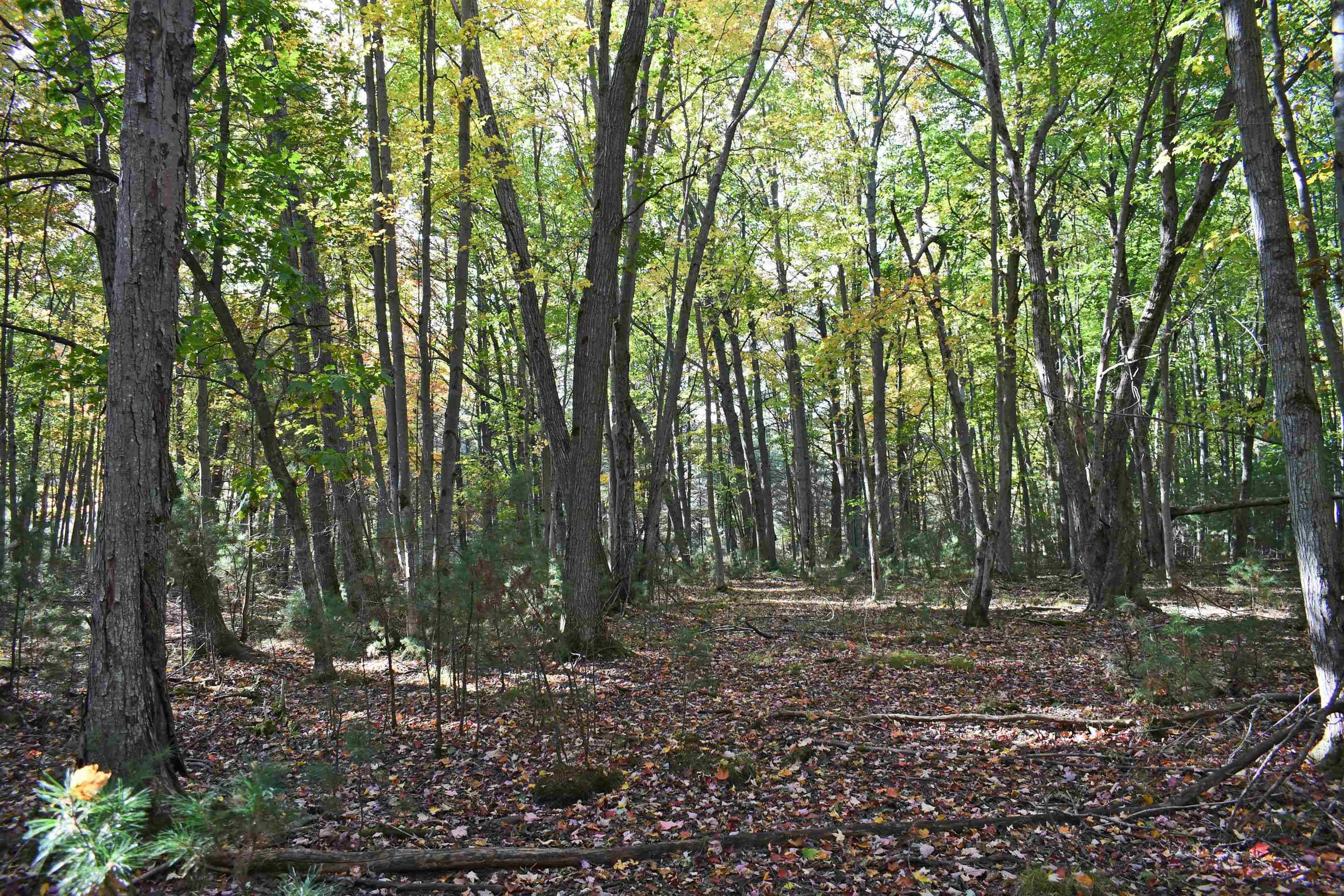 East Tawas, MI 48730,01 Rainbow DR