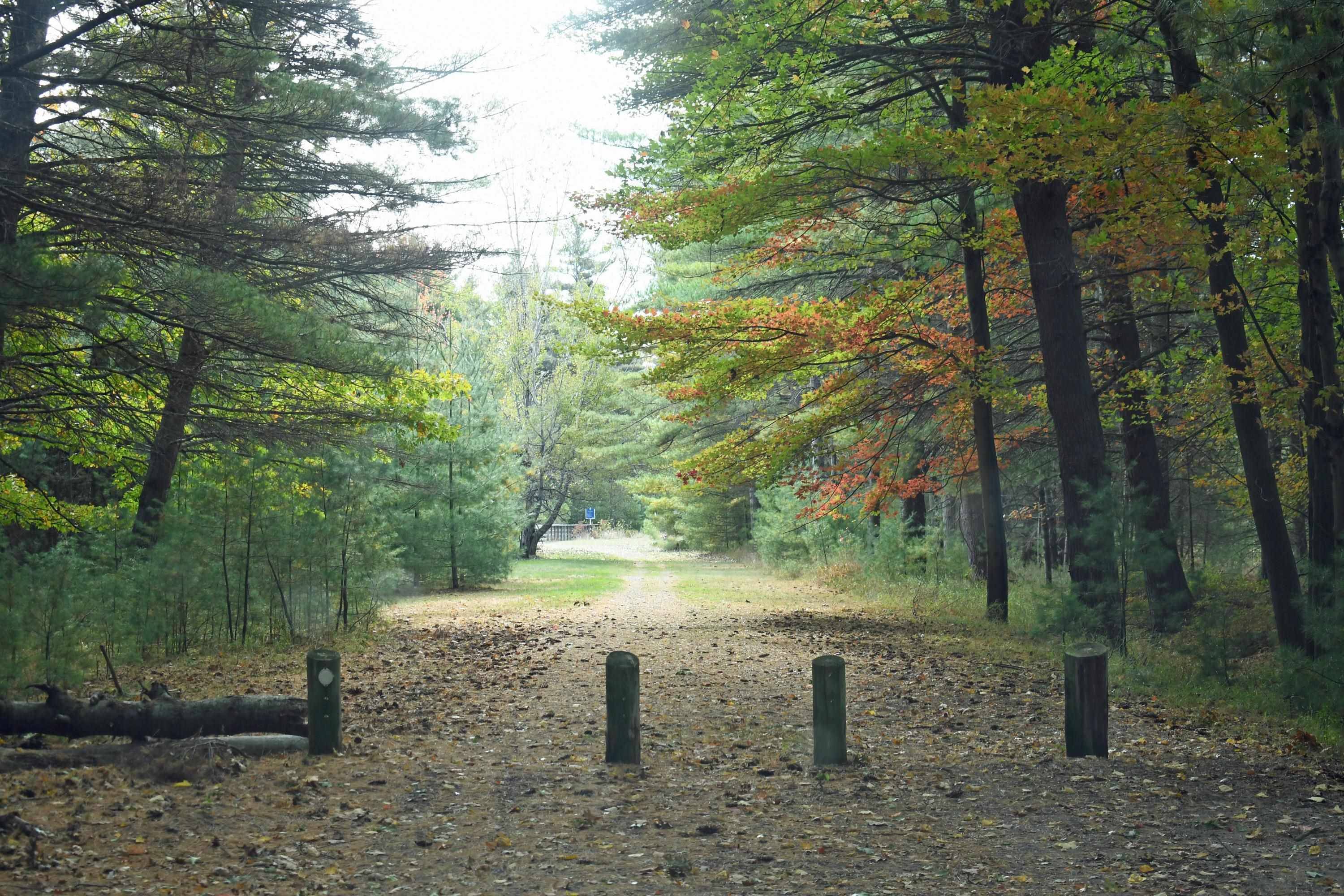 East Tawas, MI 48730,01 Rainbow DR