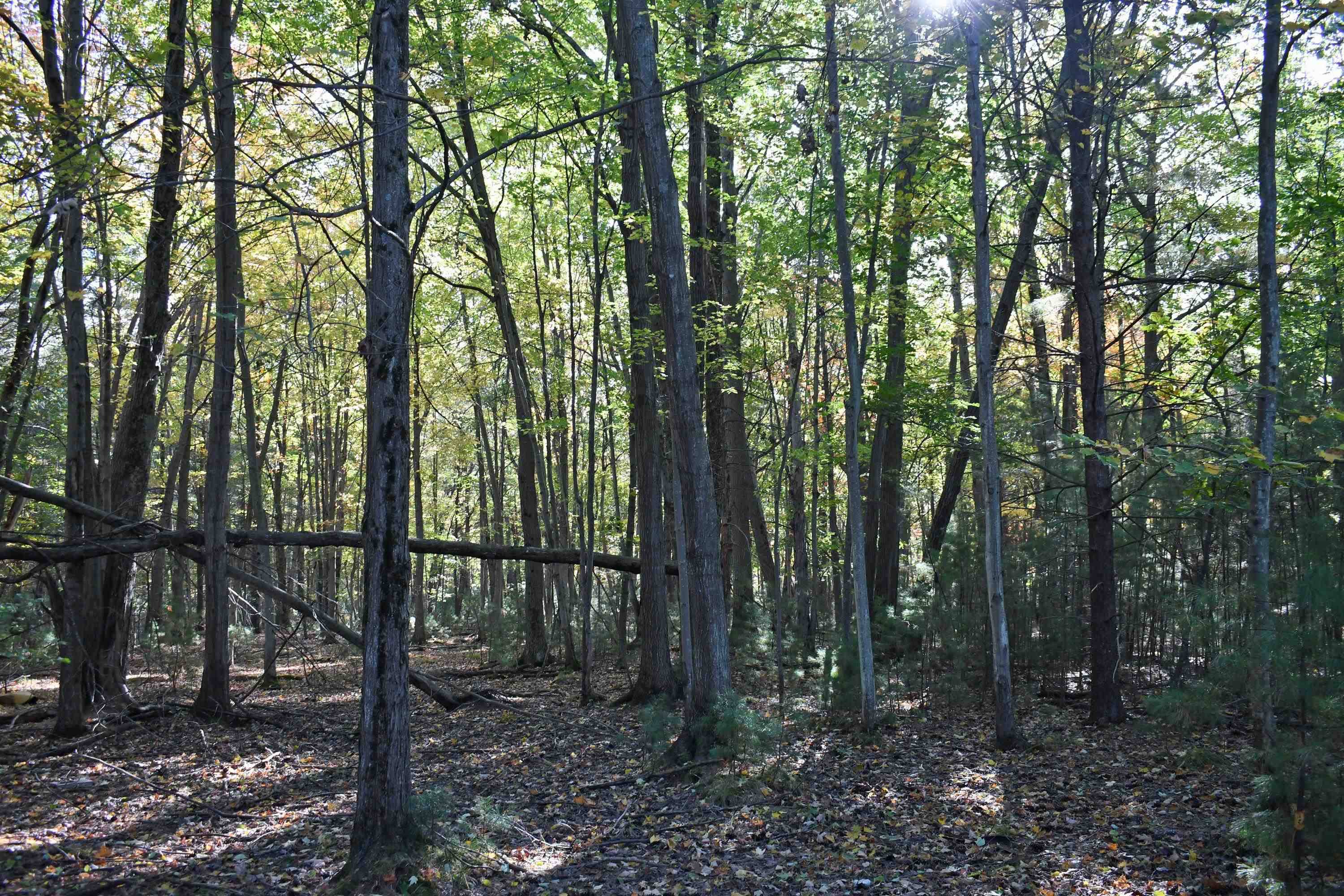 East Tawas, MI 48730,01 Rainbow DR