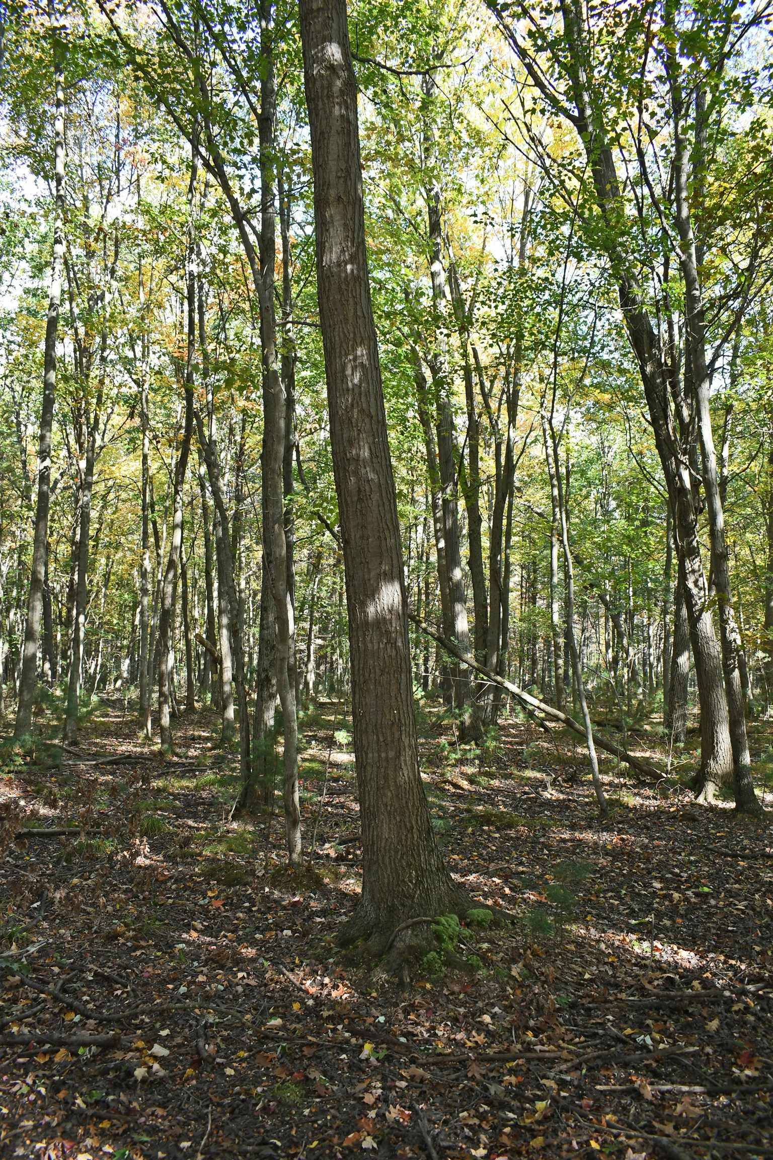 East Tawas, MI 48730,01 Rainbow DR