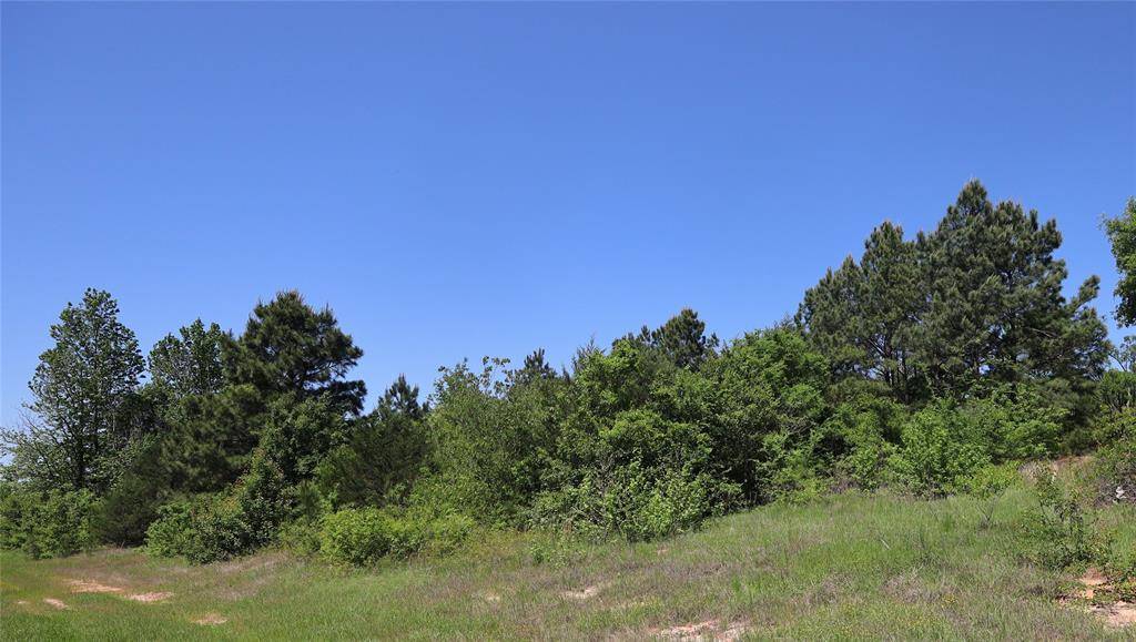 Chandler, TX 75758,19020 Sanctuary Lot 5  4 FM 317