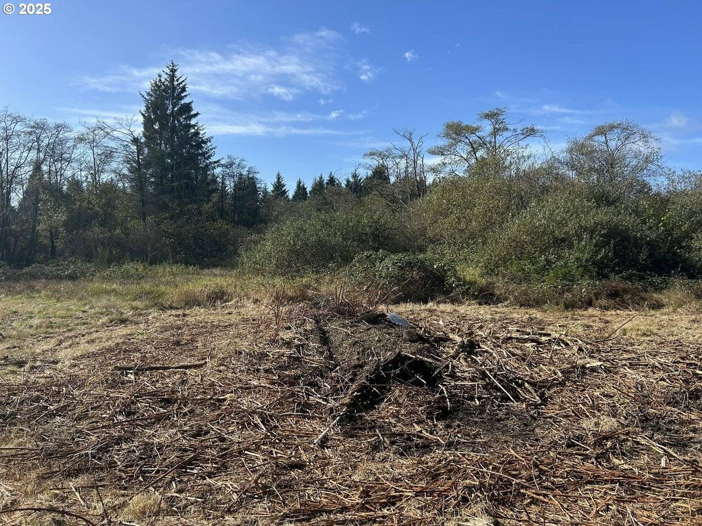 Tillamook, OR 97141,TL2402 Alderbrook Rd