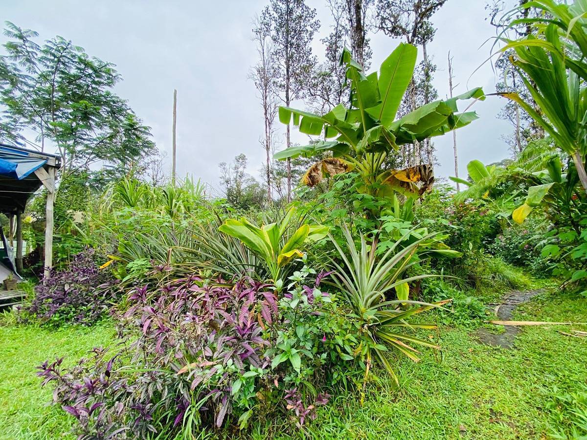 Mountain View, HI 96760,16-1588 IO KEA RD