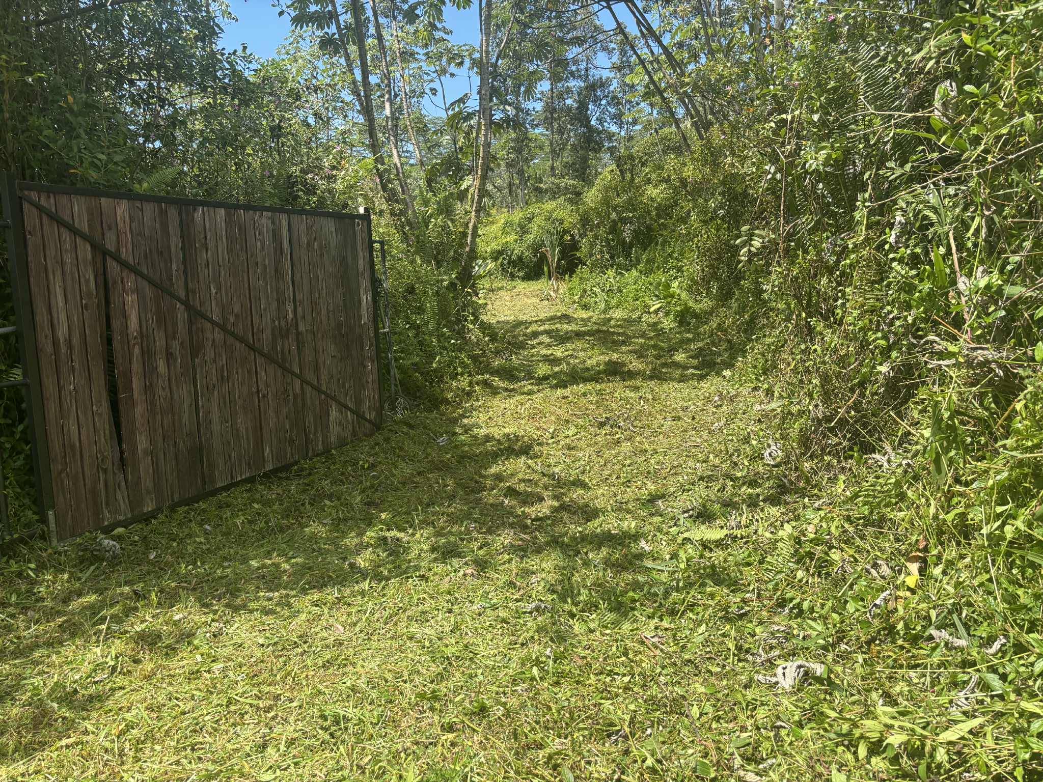 Pahoa, HI 96778,14-3379 PAKALANA RD