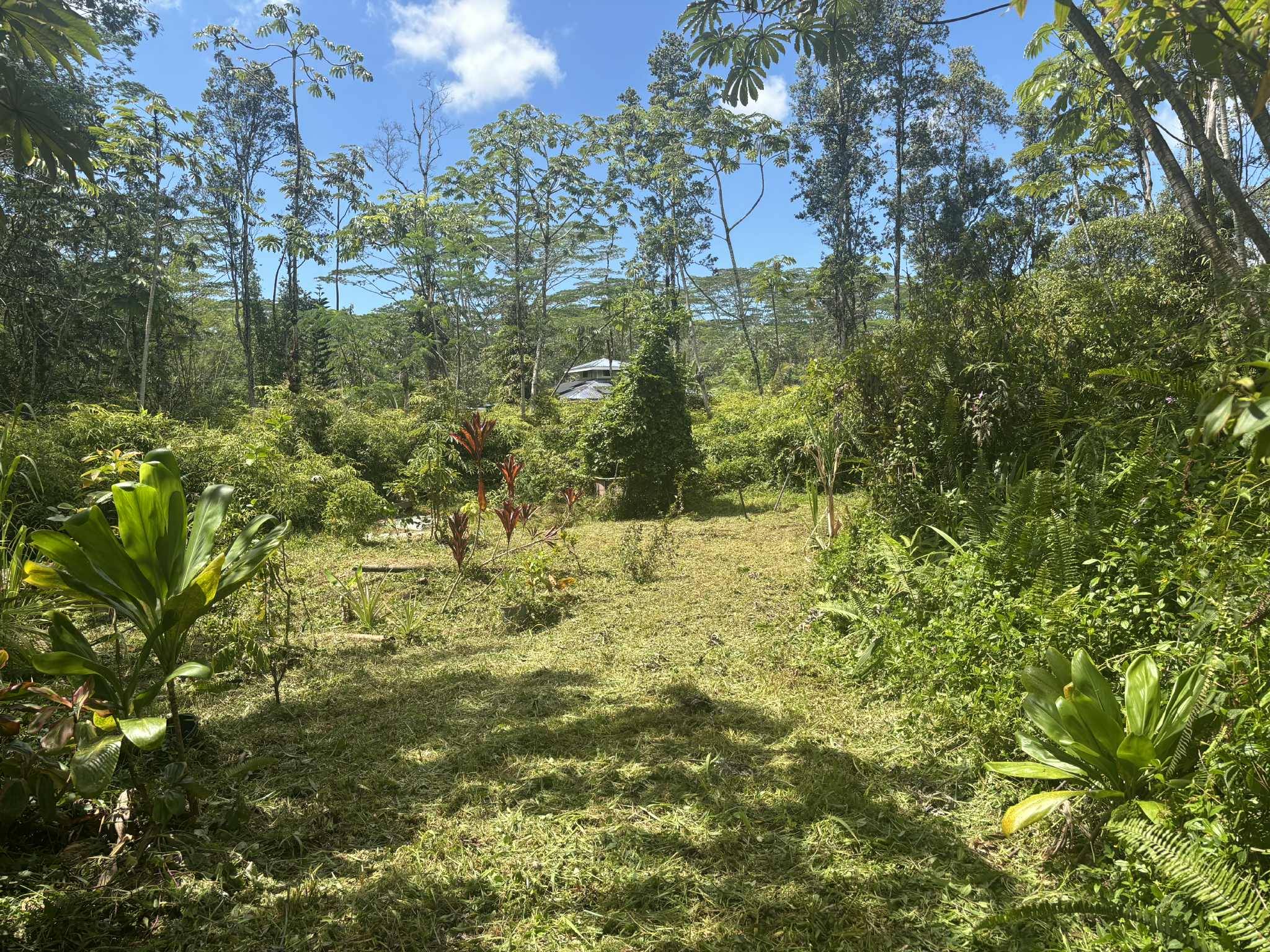 Pahoa, HI 96778,14-3379 PAKALANA RD
