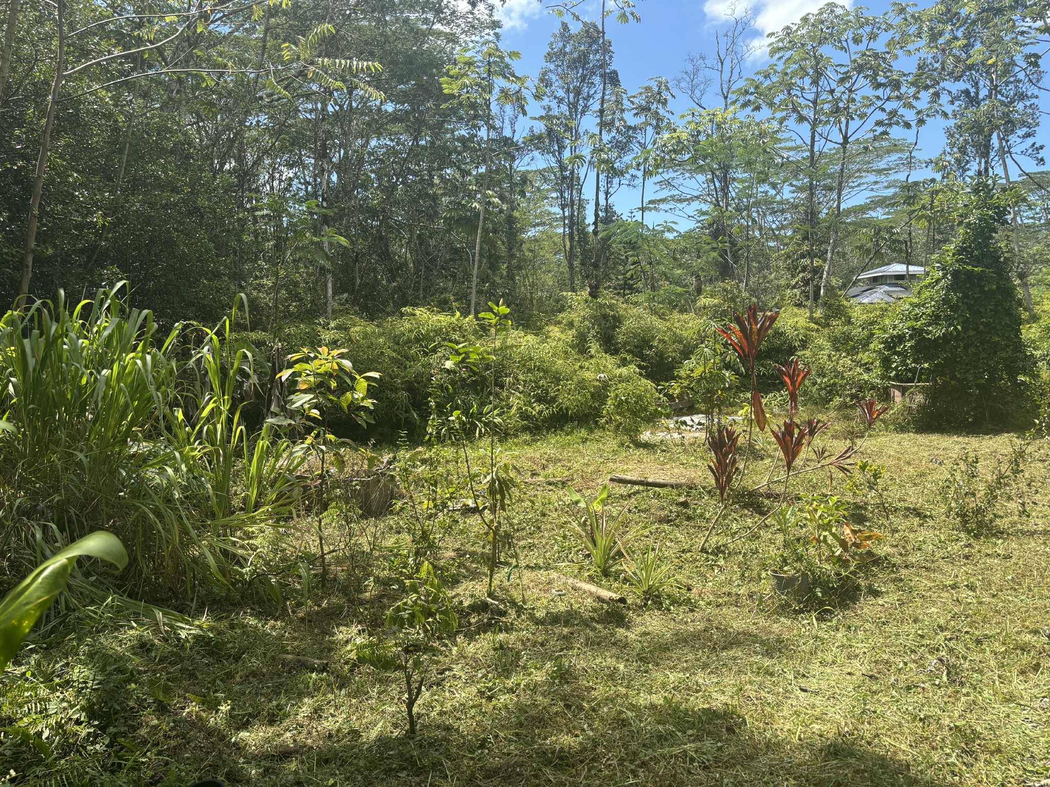 Pahoa, HI 96778,14-3379 PAKALANA RD