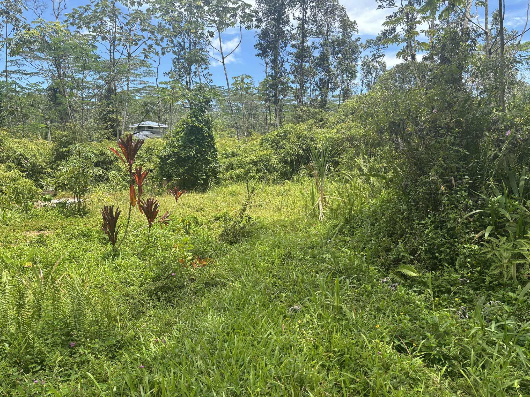 Pahoa, HI 96778,14-3379 PAKALANA RD