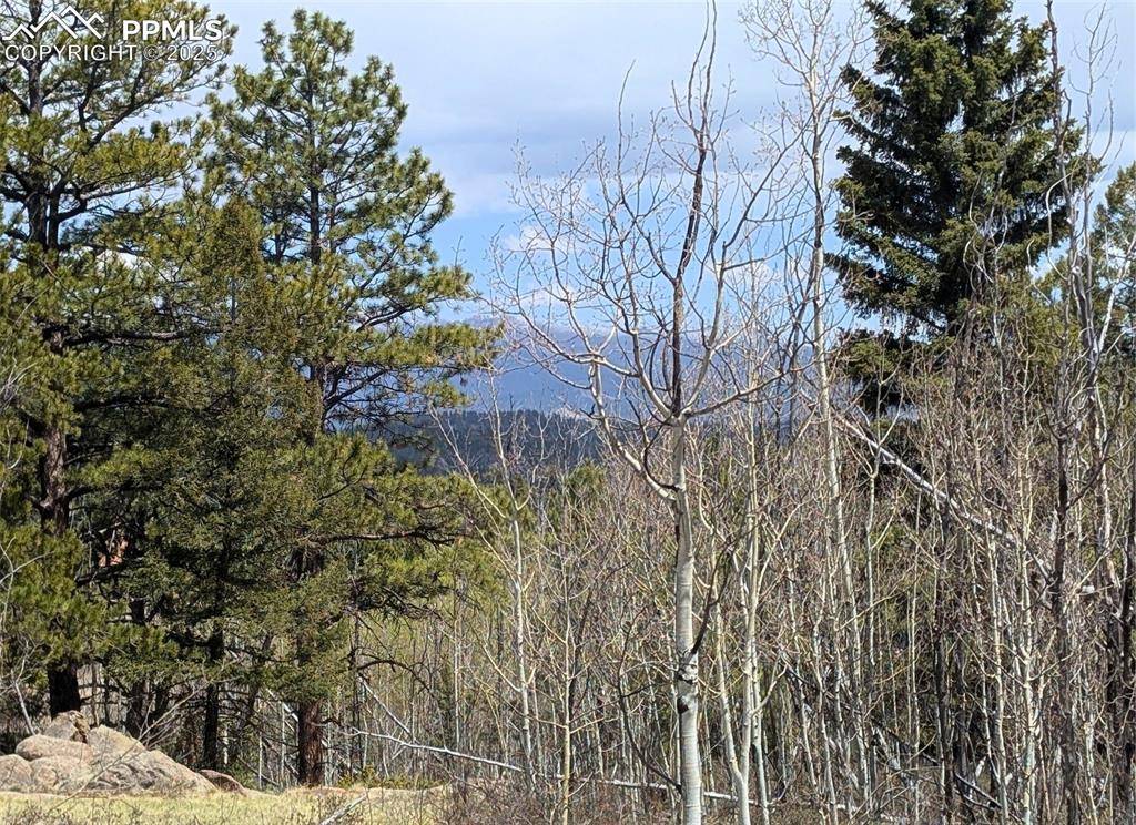 Lake George, CO 80827,43 Spanish Bit DR