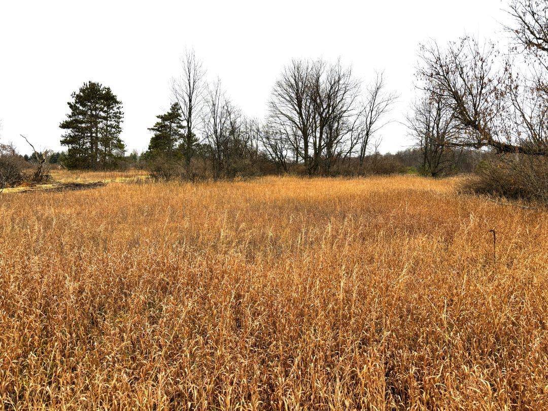 Thompsonville, MI 49683,Unit 6 North ST