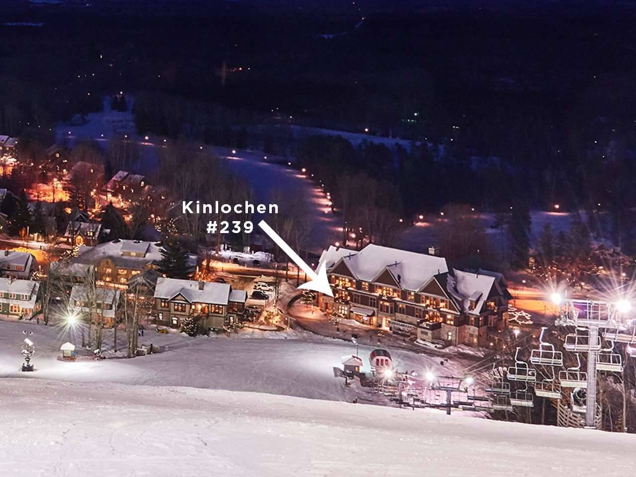 Thompsonville, MI 49683,12328-Unit 239B Crystal Mountain DR