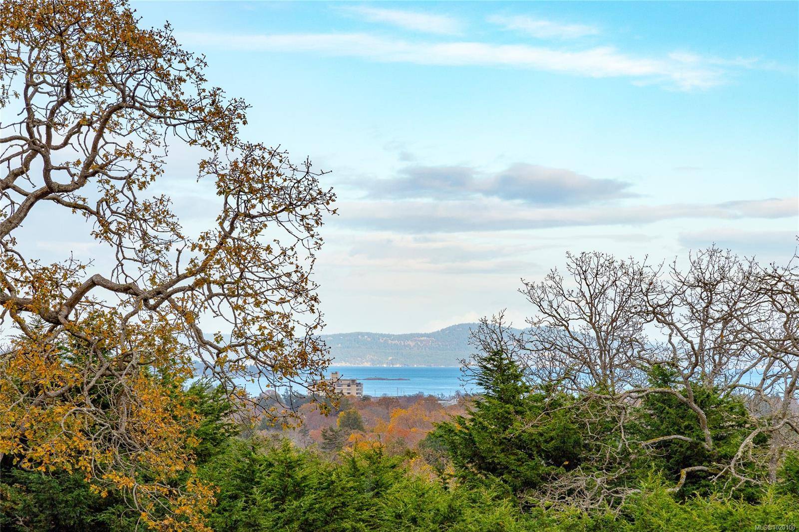 Oak Bay, BC V8S 2K8,24 Sylvan Lane #Lot A