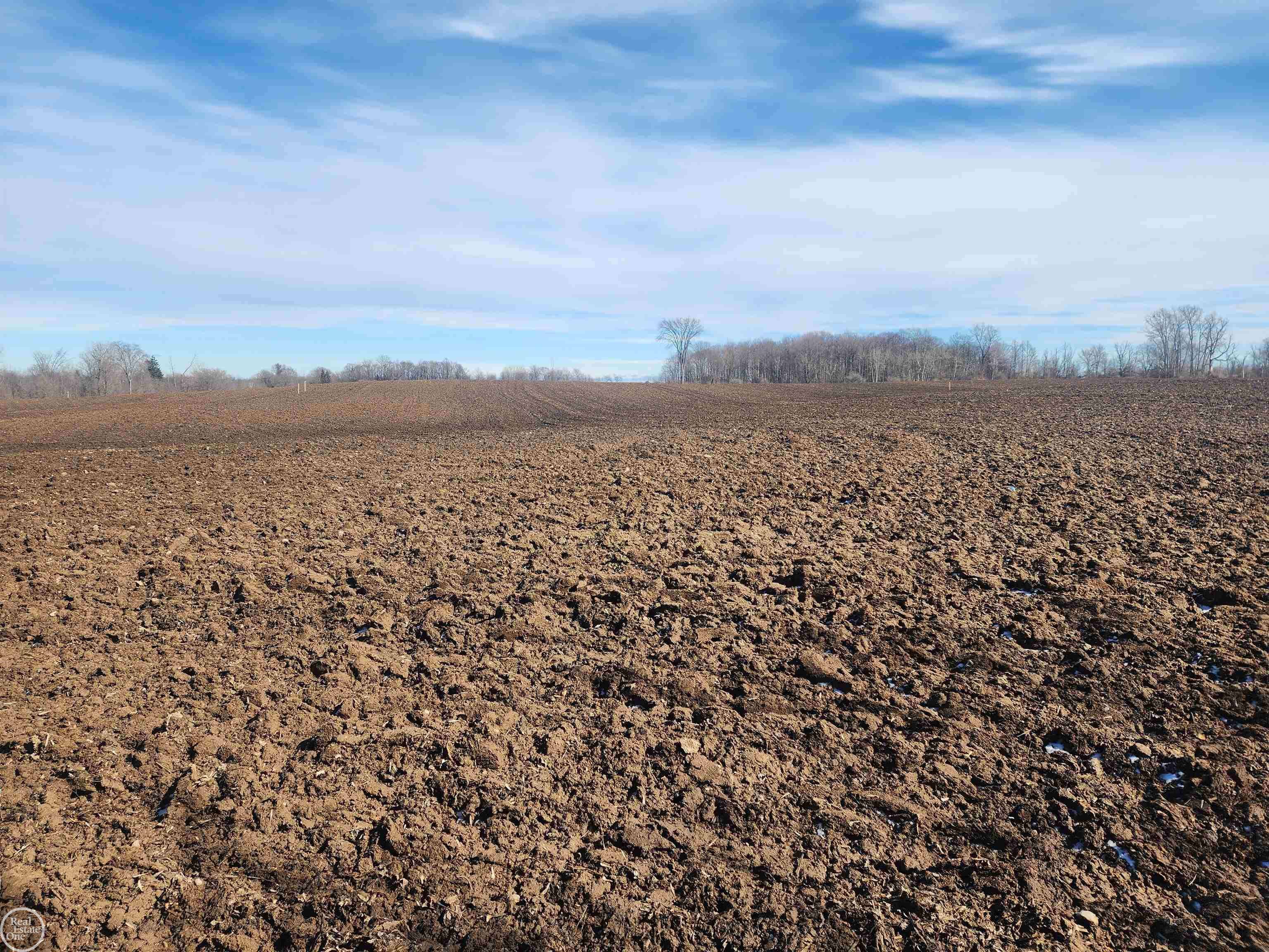 4750 E Snover RD, Bridgehampton Twp, MI 48419