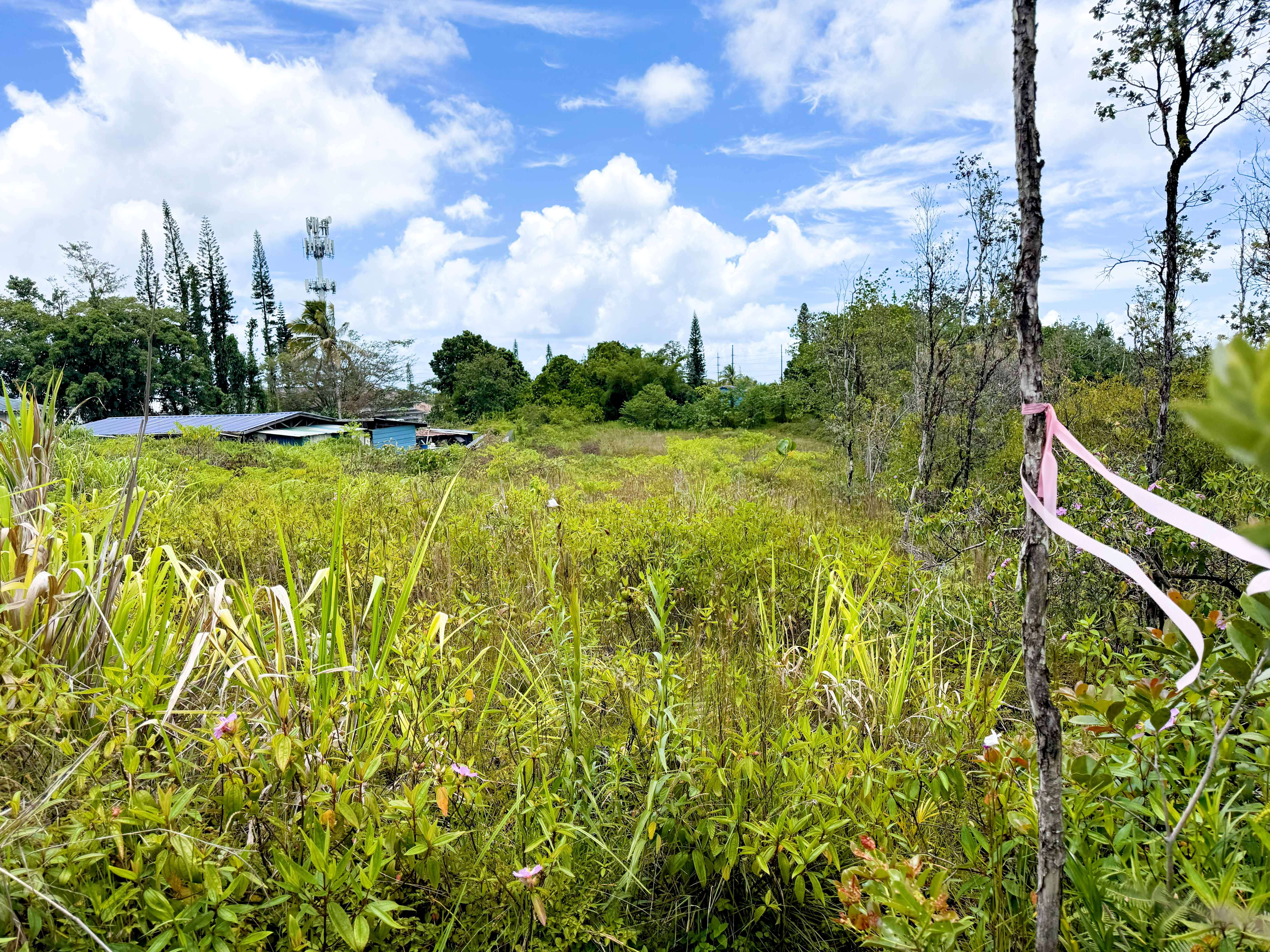 Keaau, HI 96760,34TH AVE