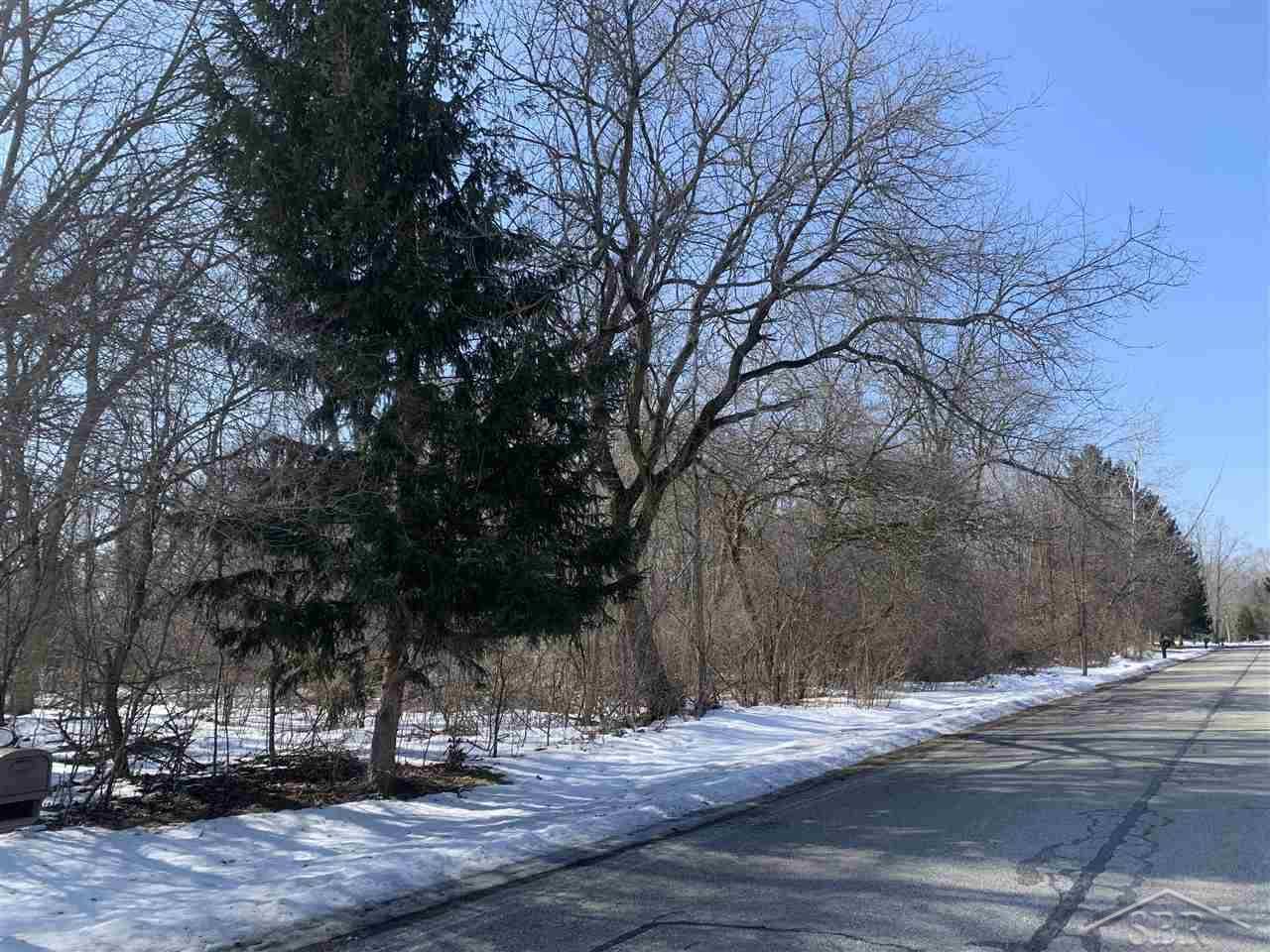 Saginaw, MI 48603,Hornbeam