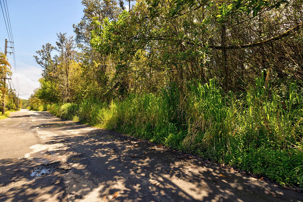 Mountain View, HI 96760,ROAD 1 (UHINI ANA)