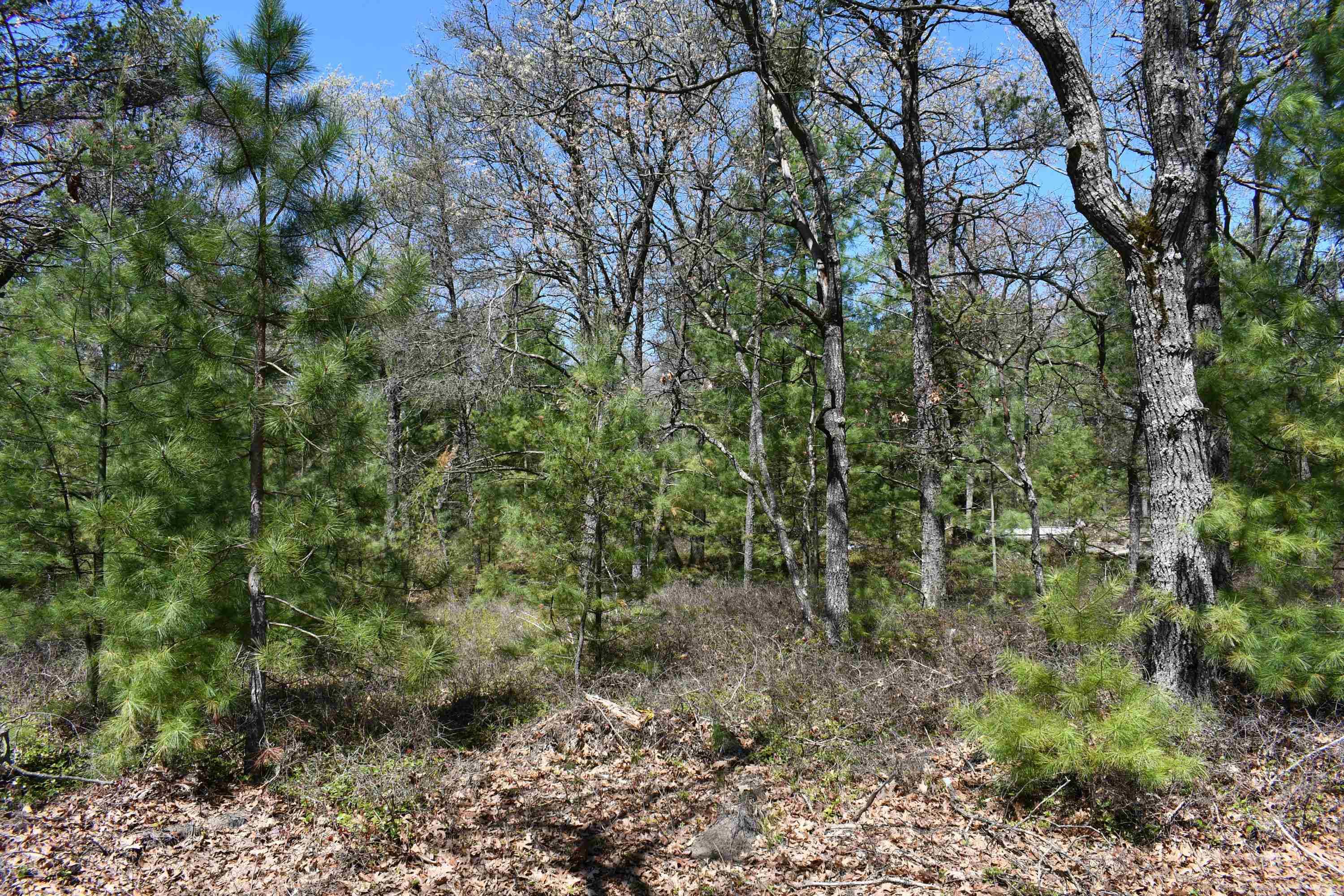 East Tawas, MI 48730,1815 N US-23