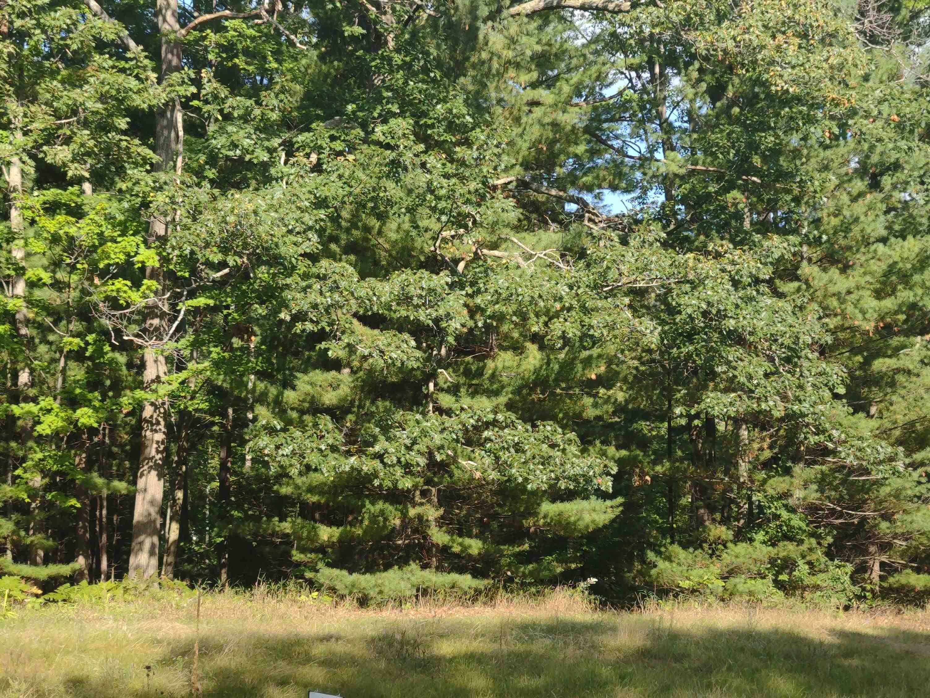 Au Gres, MI 48703,N/A S Huron