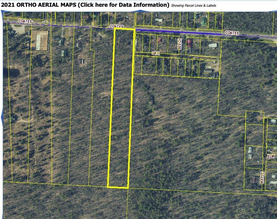 Brethren, MI 49619,14759 N Coates HWY