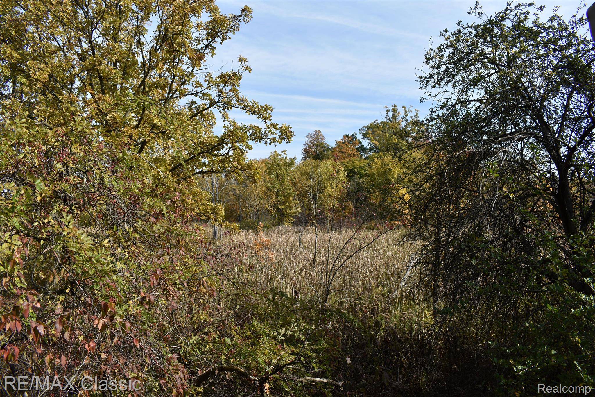 Wixom, MI 48393,2200 MILLSTREAM DR