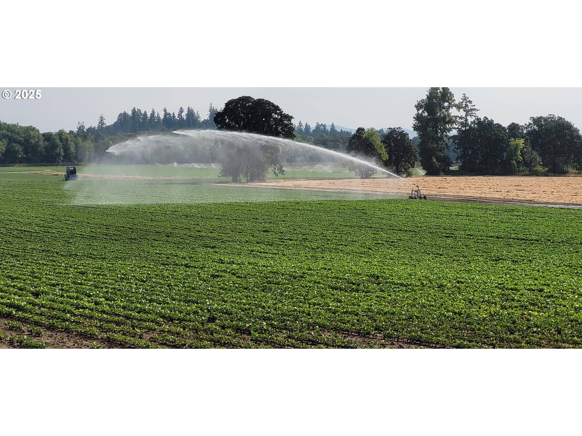 Monmouth, OR 97361,11090 Simpson RD