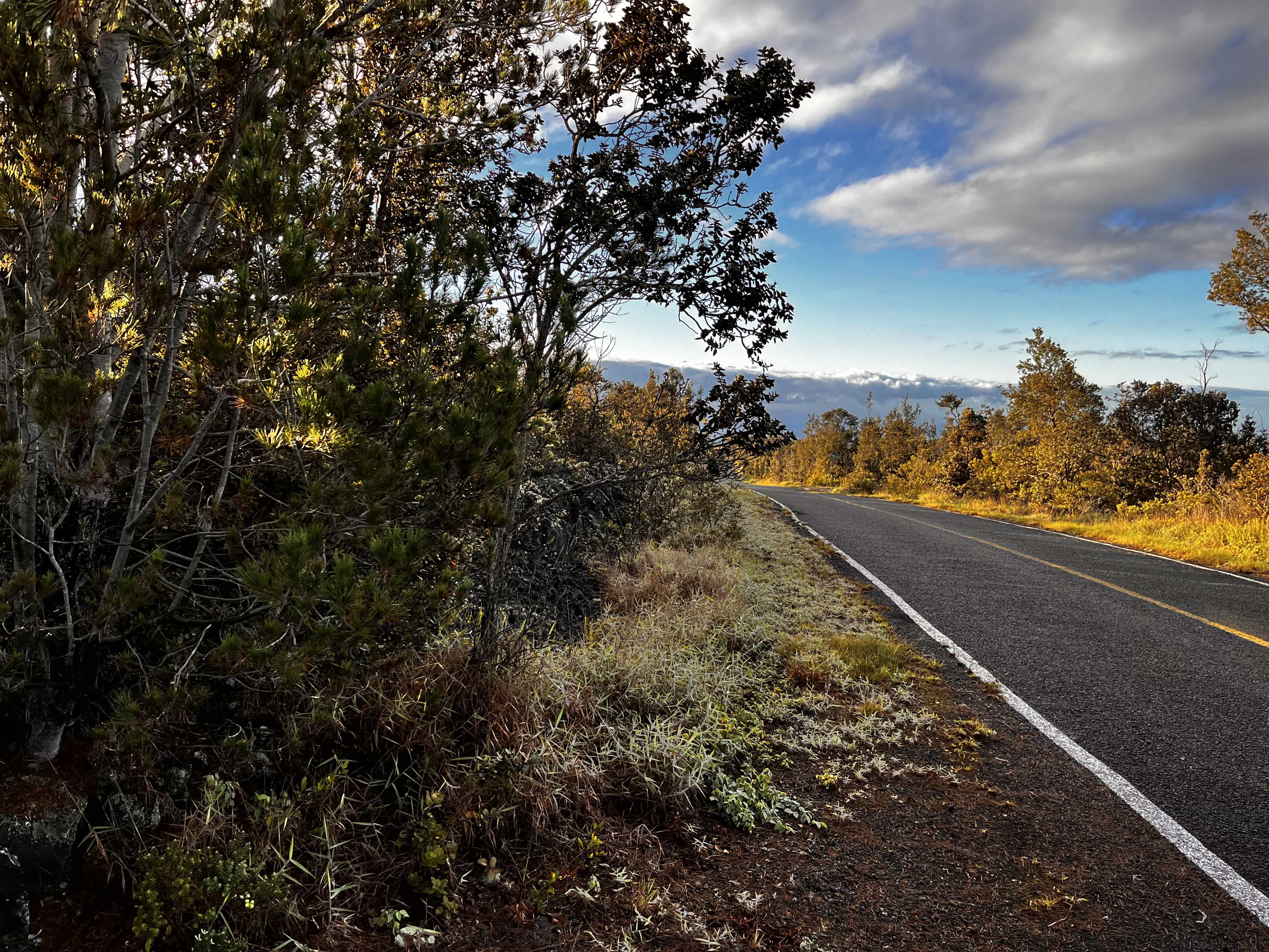 Ocean View, HI 96737,92-9308 KING KAMEHAMEHA BLVD