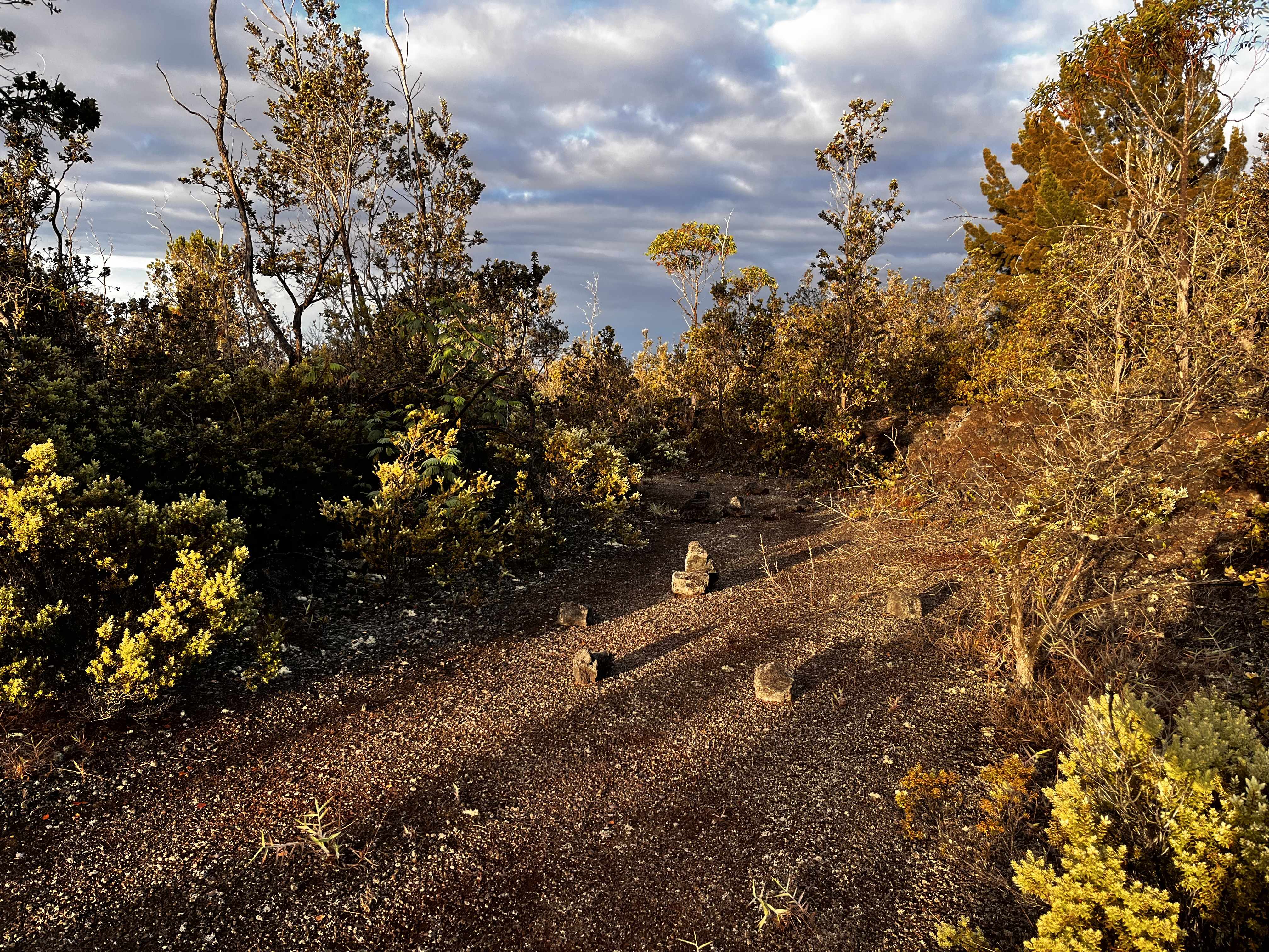 Ocean View, HI 96737,92-9308 KING KAMEHAMEHA BLVD