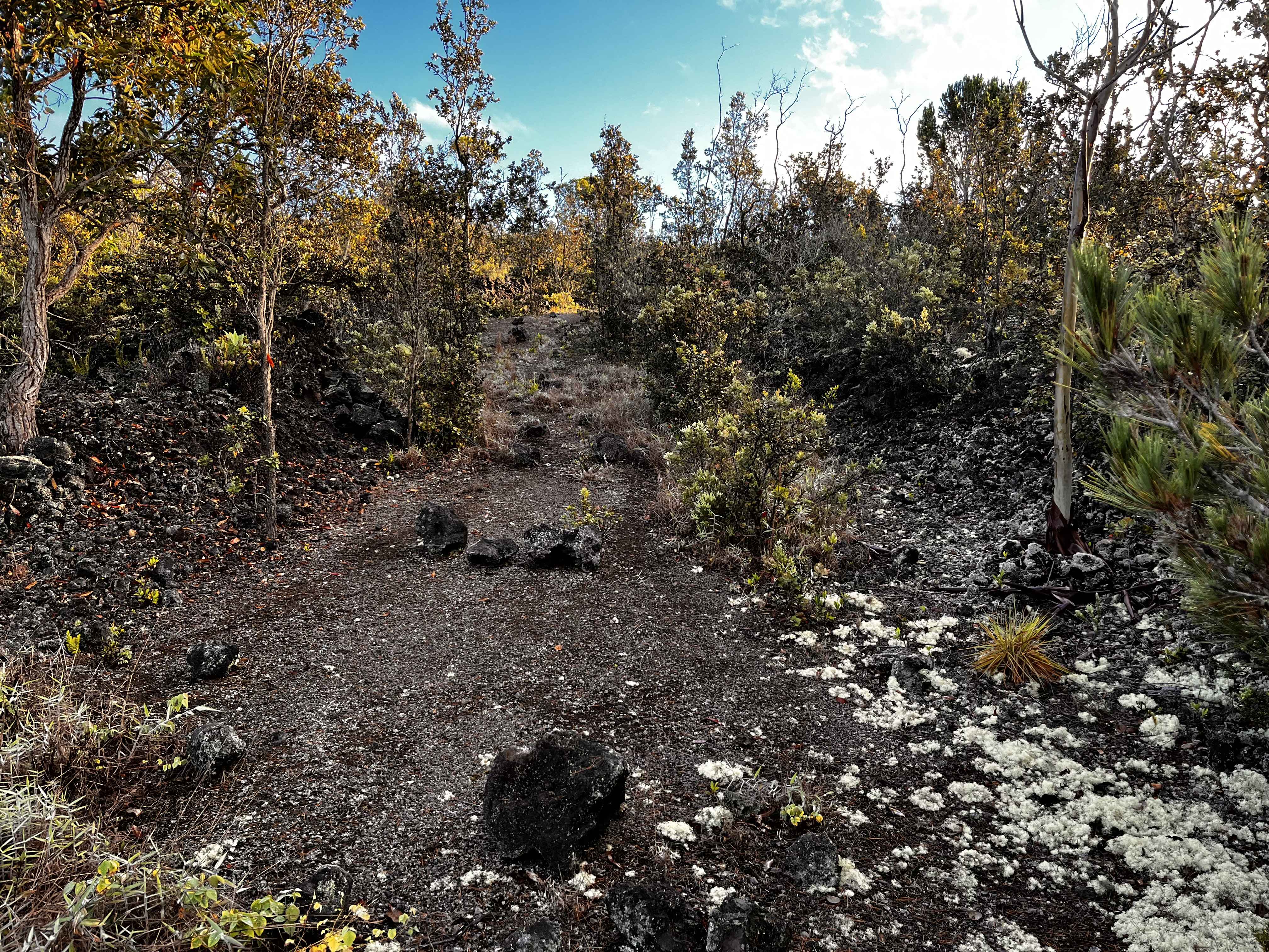 Ocean View, HI 96737,92-9308 KING KAMEHAMEHA BLVD