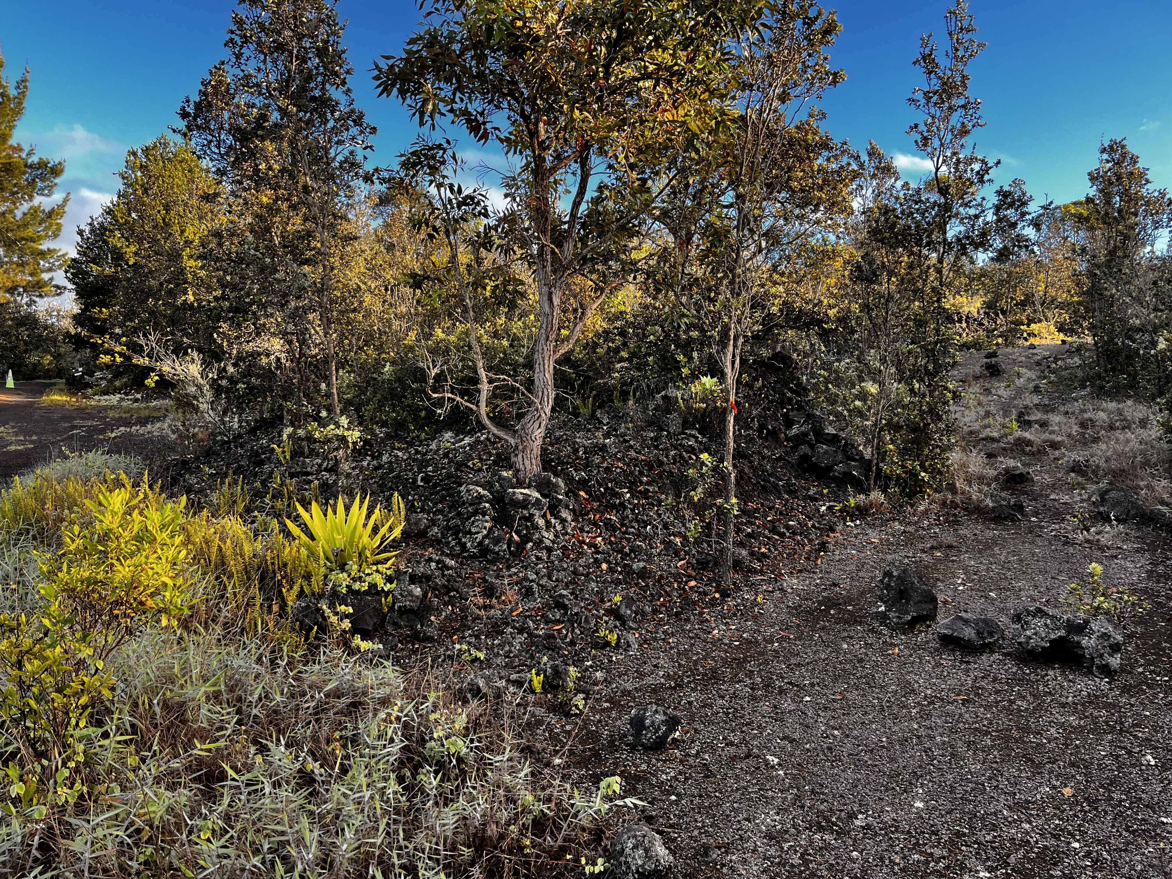 Ocean View, HI 96737,92-9308 KING KAMEHAMEHA BLVD