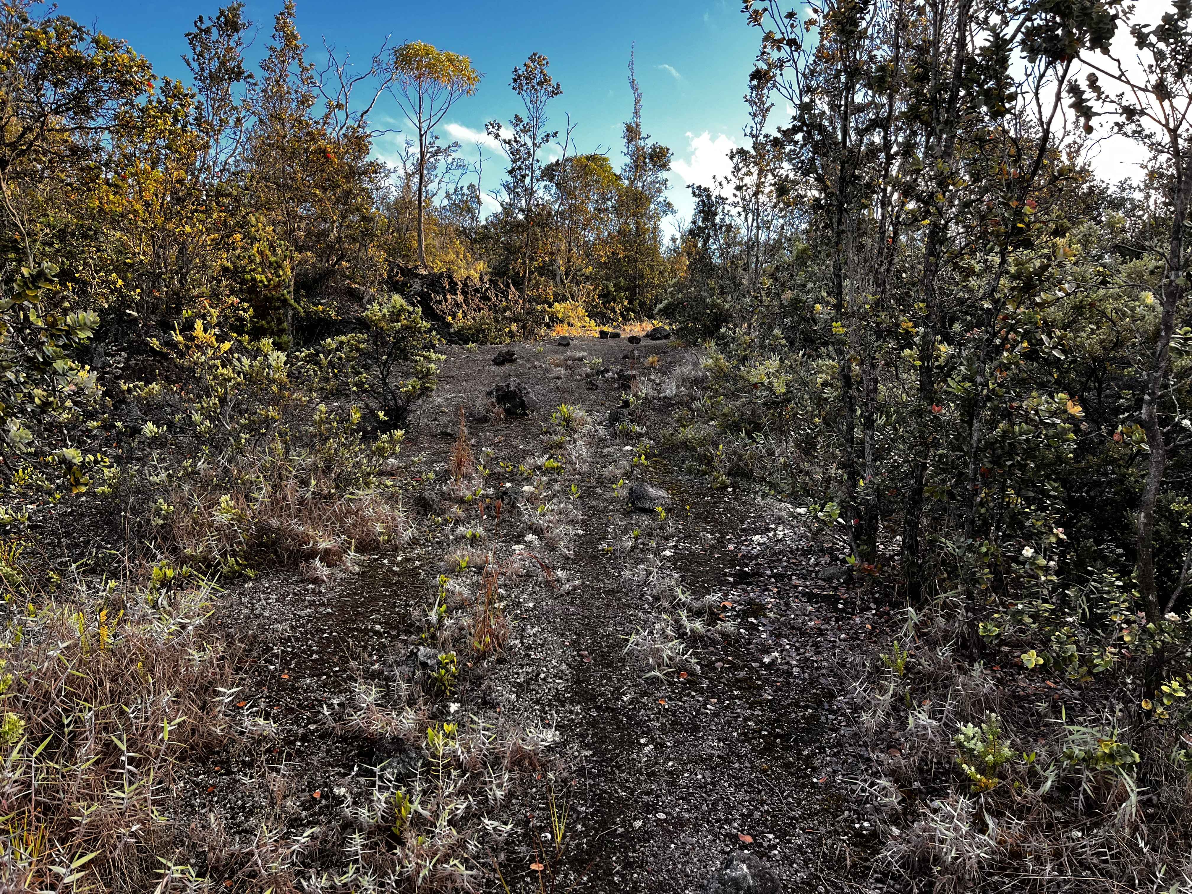 Ocean View, HI 96737,92-9308 KING KAMEHAMEHA BLVD