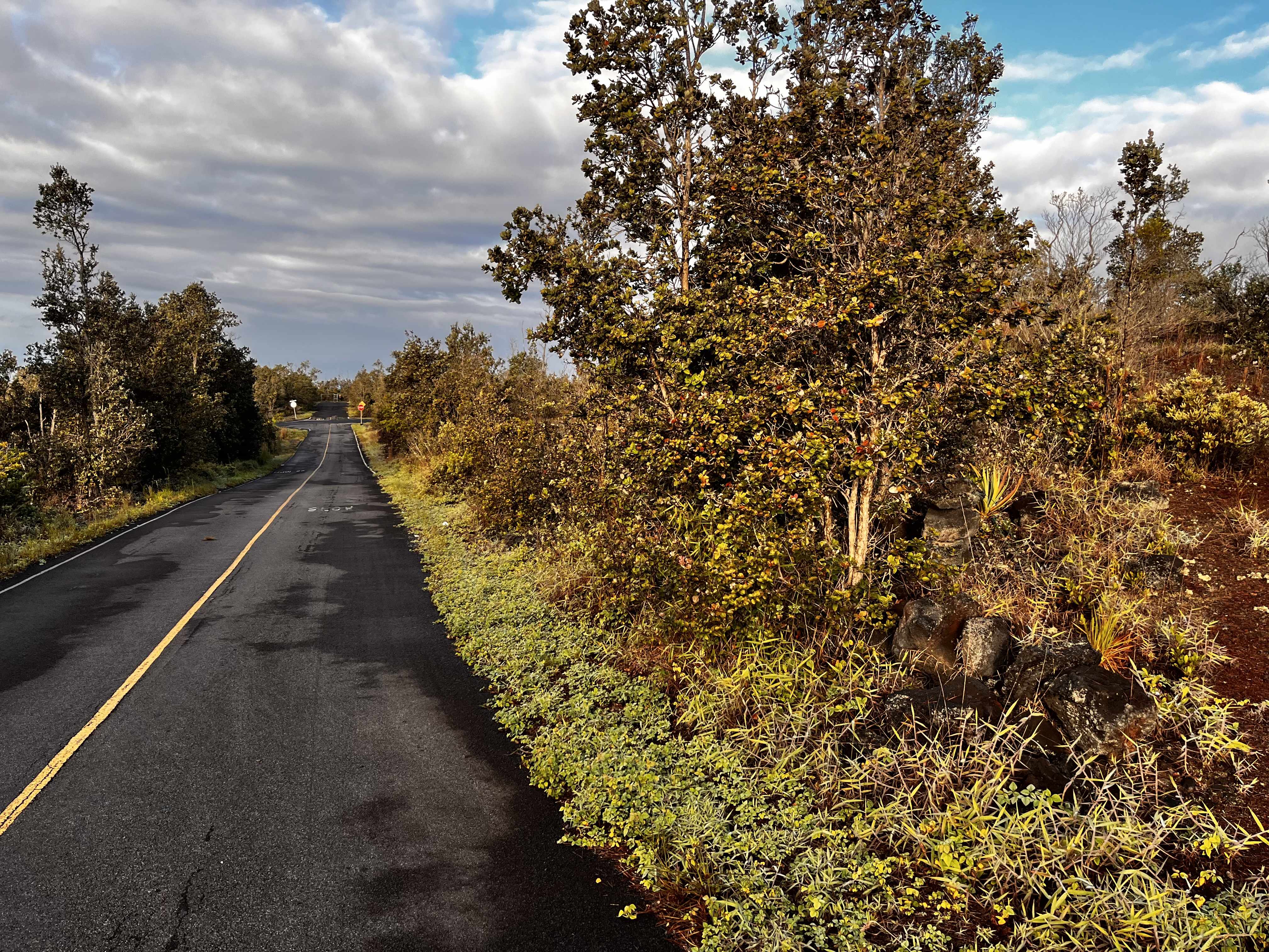 Ocean View, HI 96737,92-2417 OUTRIGGER DRIVE