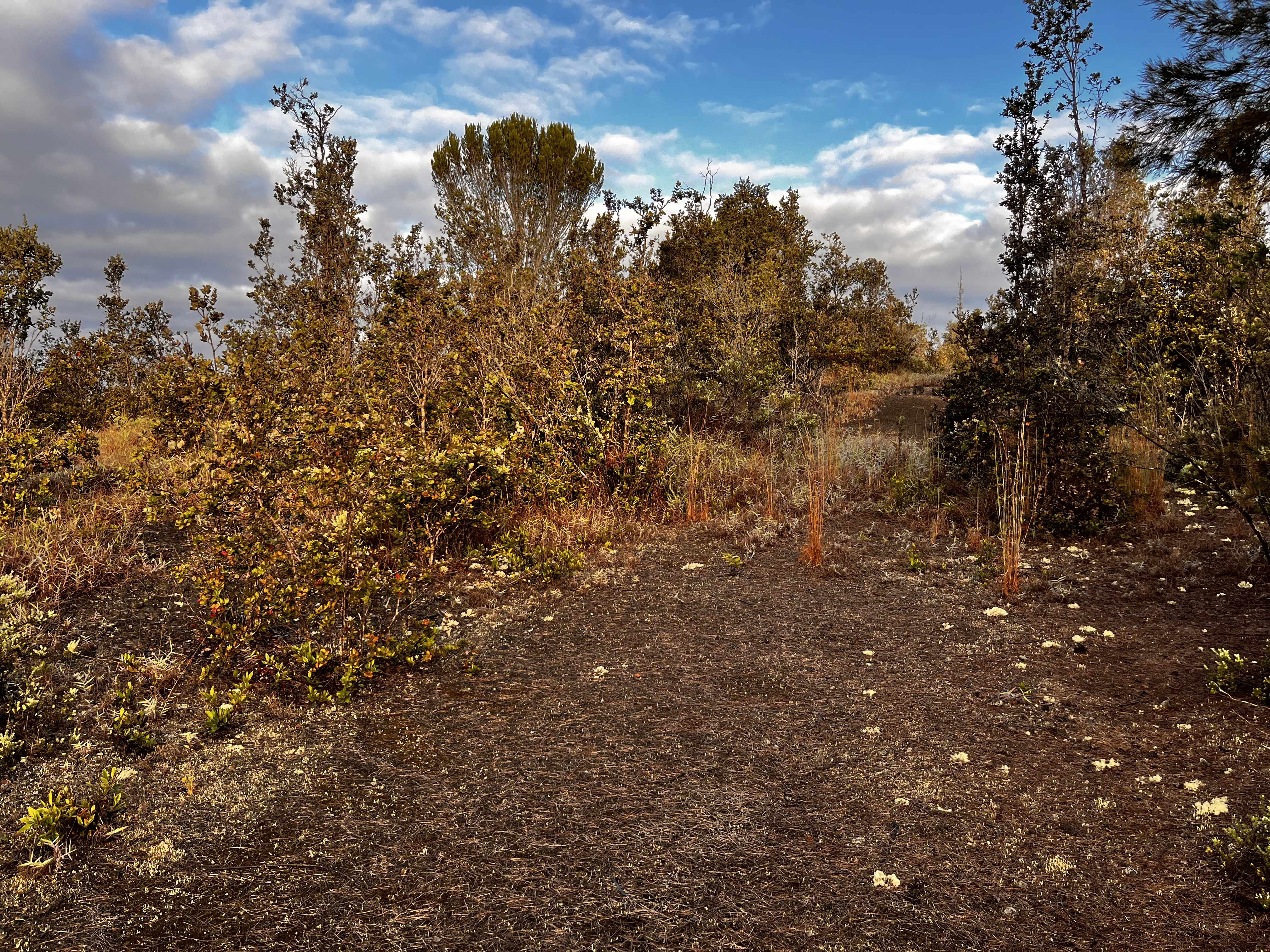 Ocean View, HI 96737,92-2417 OUTRIGGER DRIVE