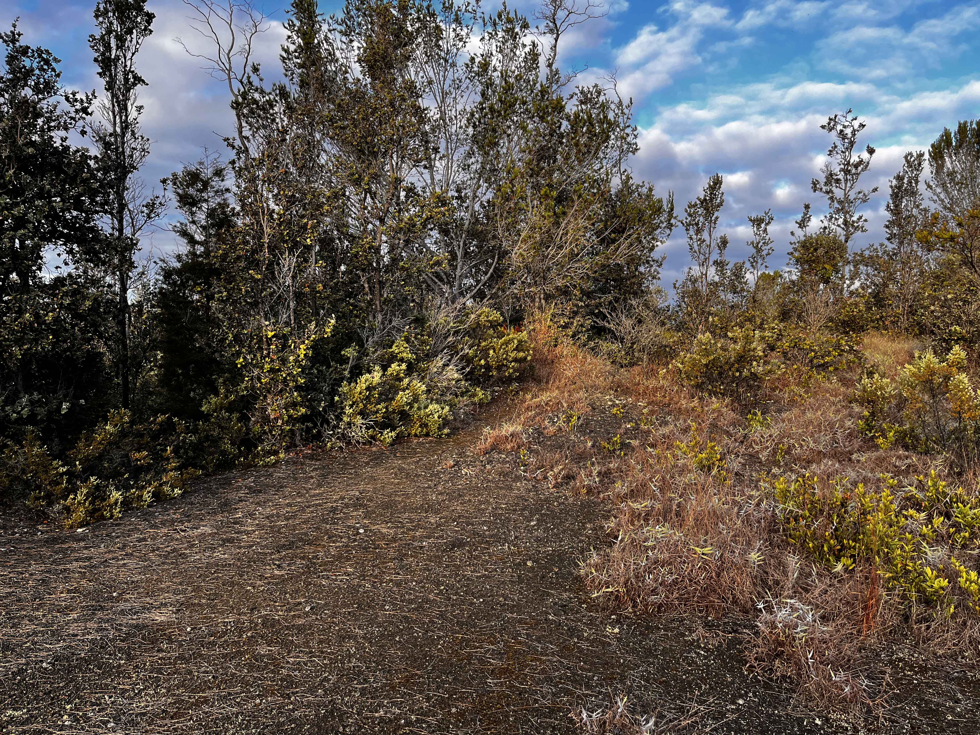 Ocean View, HI 96737,92-2417 OUTRIGGER DRIVE