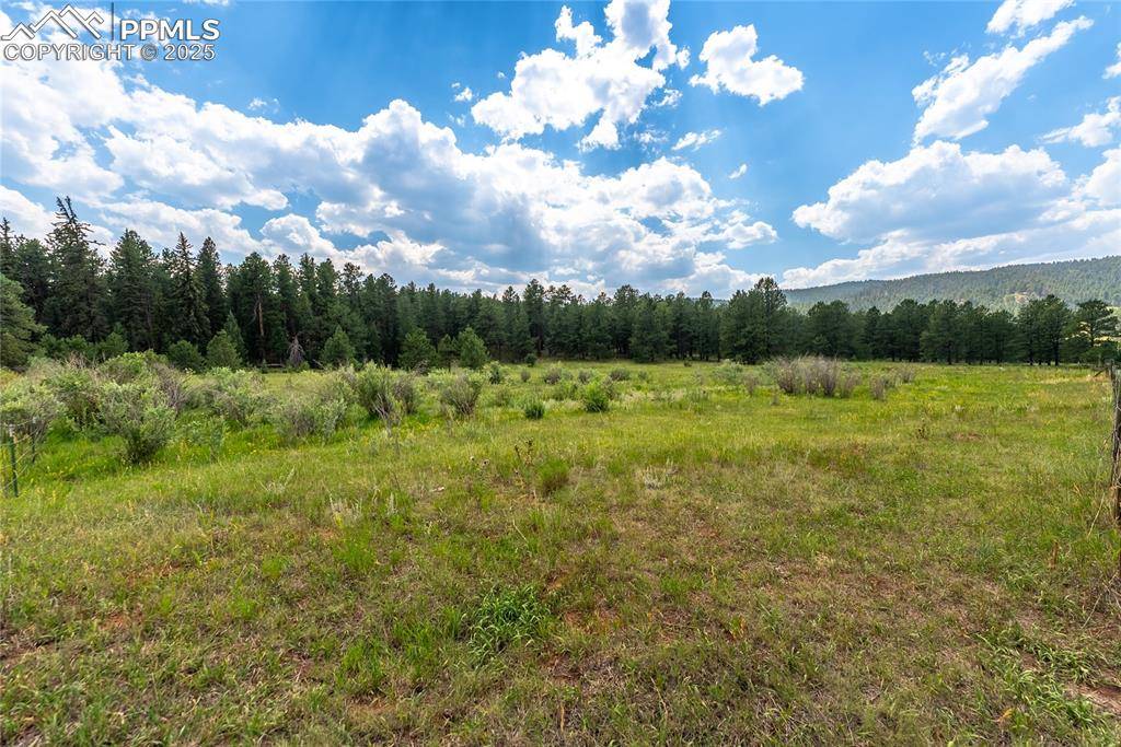 Woodland Park, CO 80863,29507 Highway 67