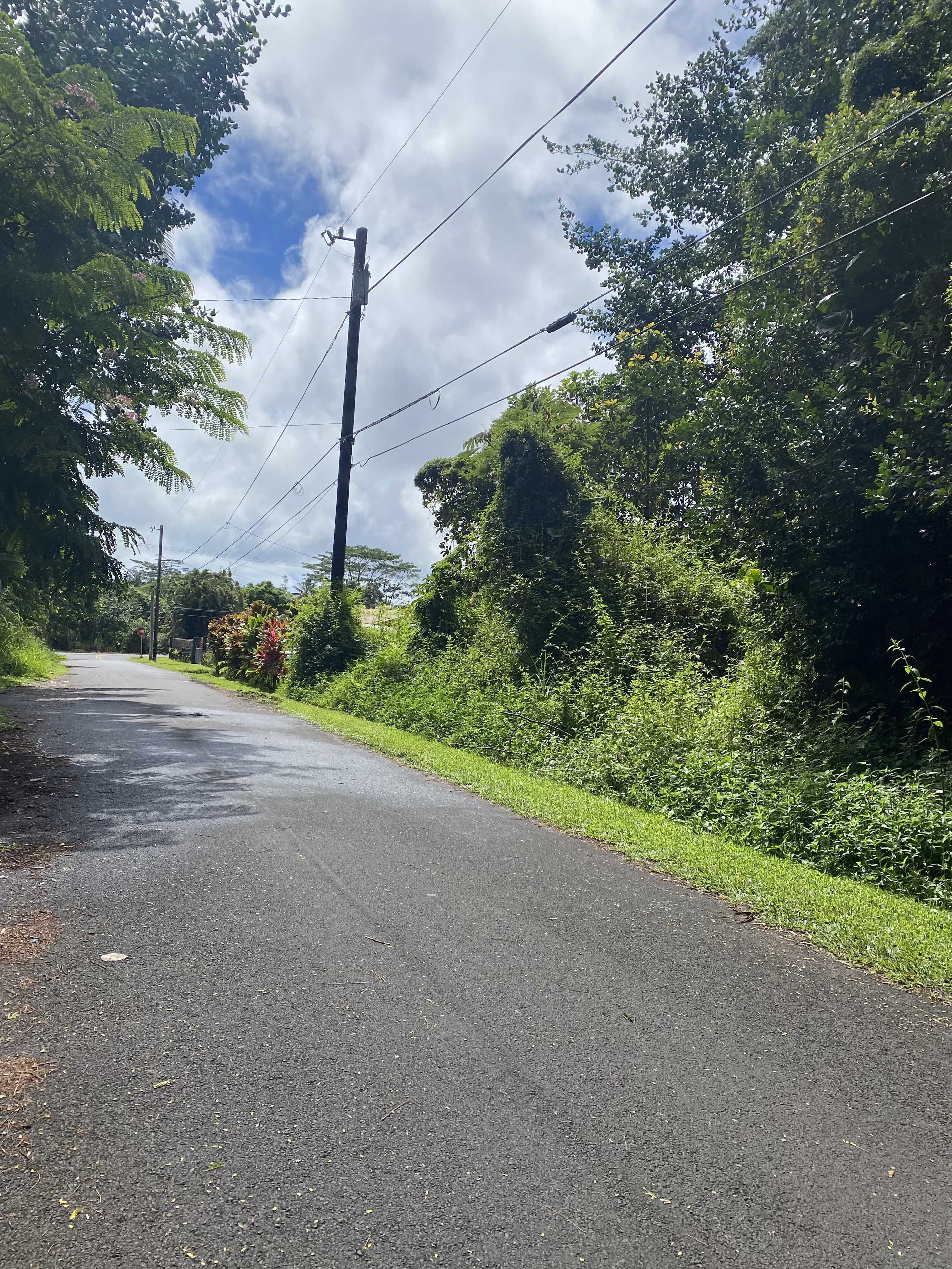 Pahoa, HI 96778,HEEPALI ST
