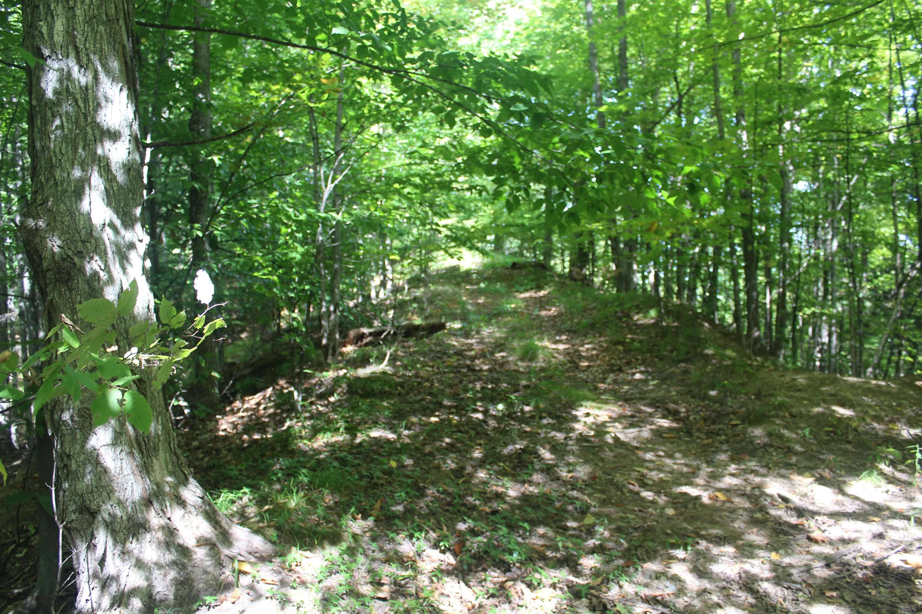 Rapid City, MI 49676,000 Harbor Beach DR