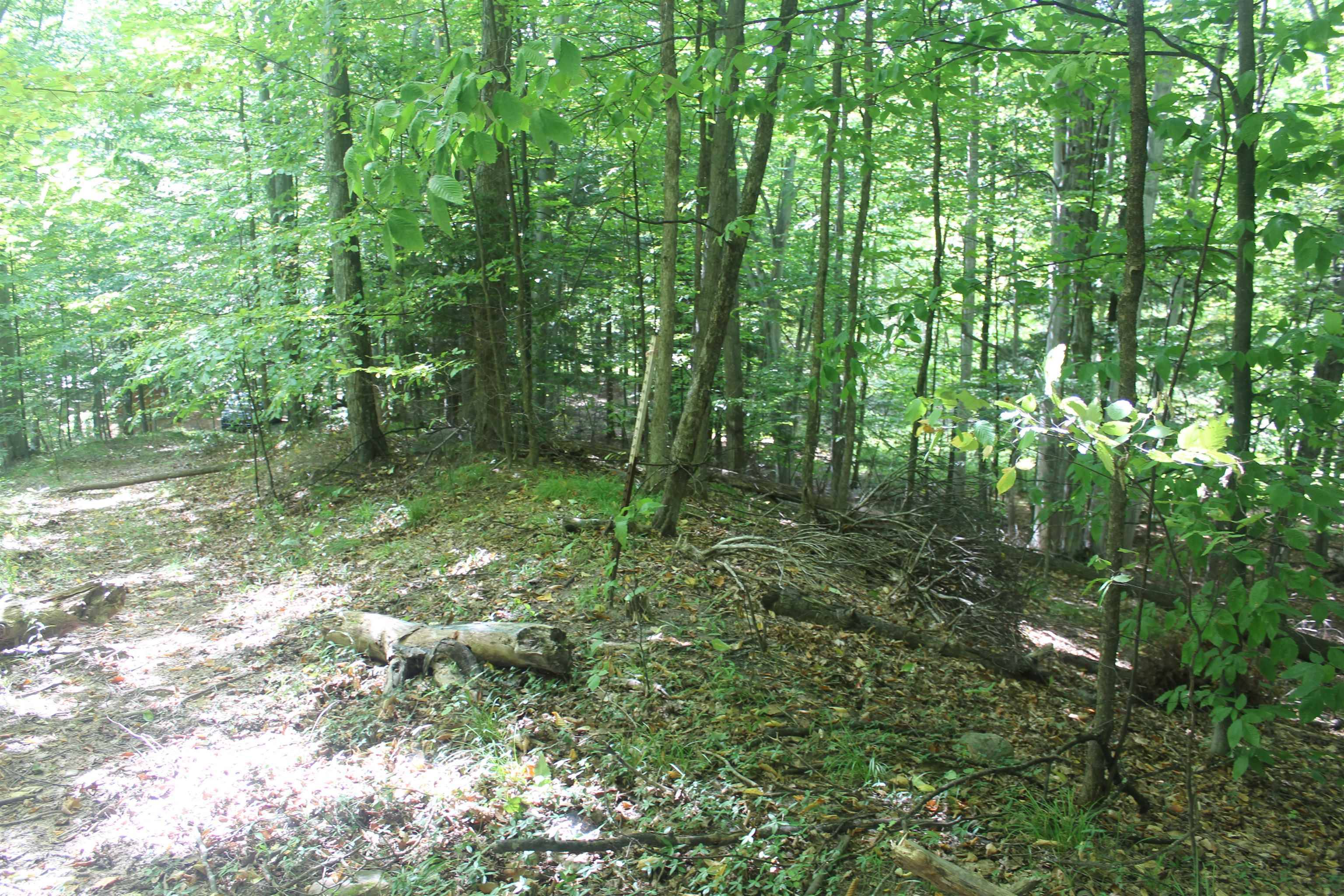 Rapid City, MI 49676,000 Harbor Beach DR