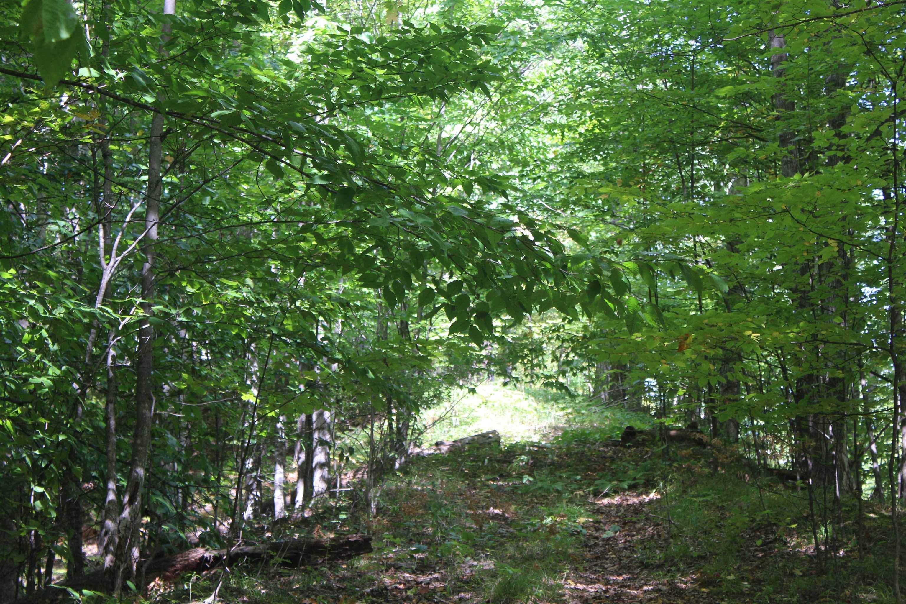 Rapid City, MI 49676,000 Harbor Beach DR