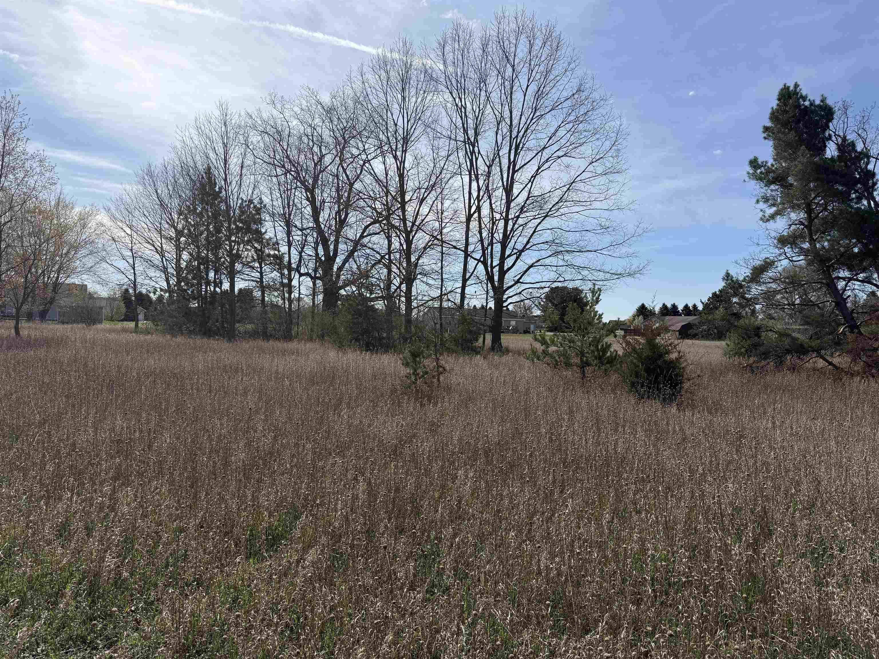 Lake Isabella, MI 48893,1016 Pyrenees DR